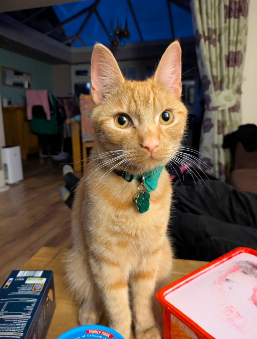 Barnaby  - St. Thomas Way, Rugeley