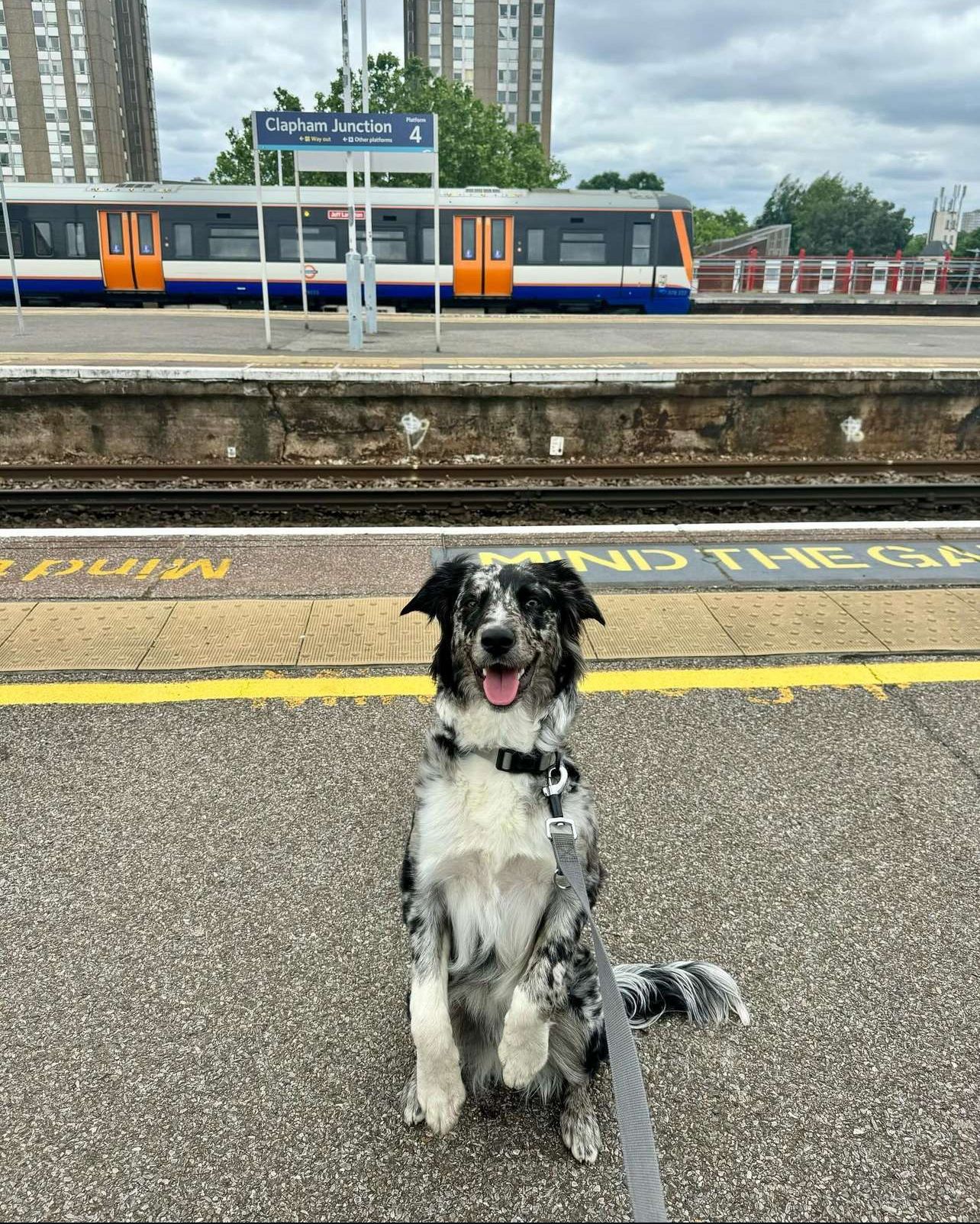 Mala - 388A Hotwell Road, Bristol