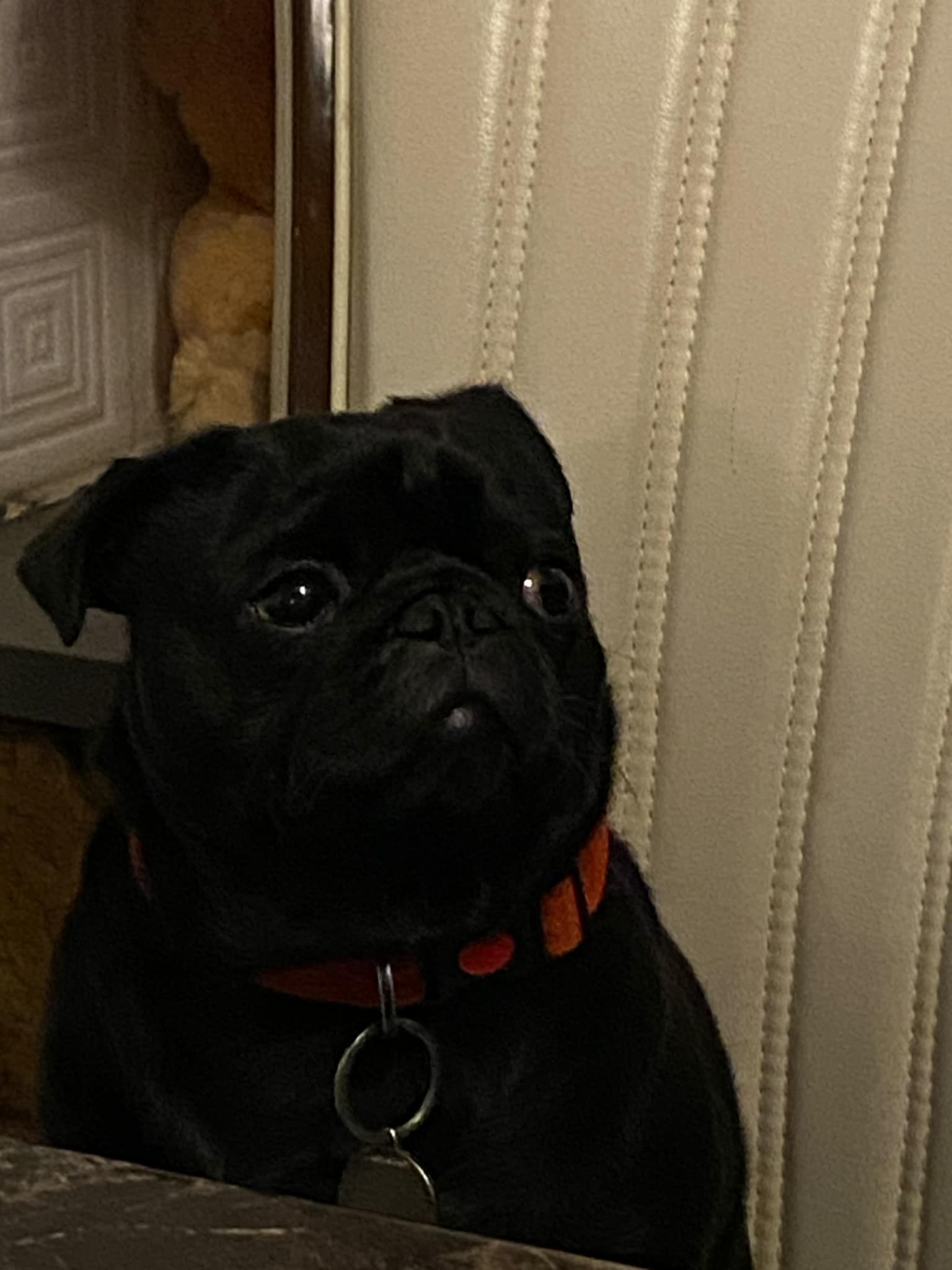 Chicko - 1 Maes Glas, Caerdydd