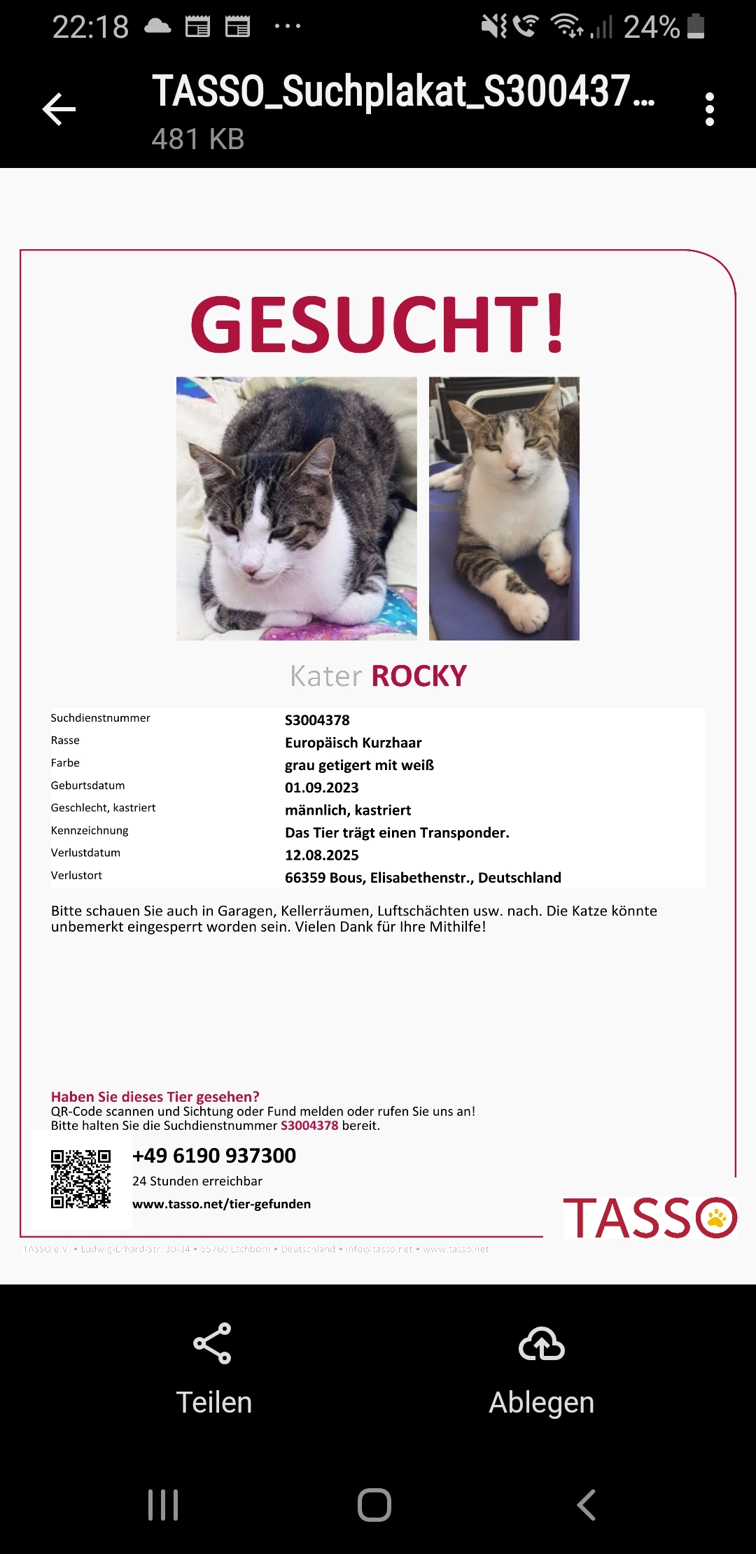 Rocky - Elisabethenstraße, Bous