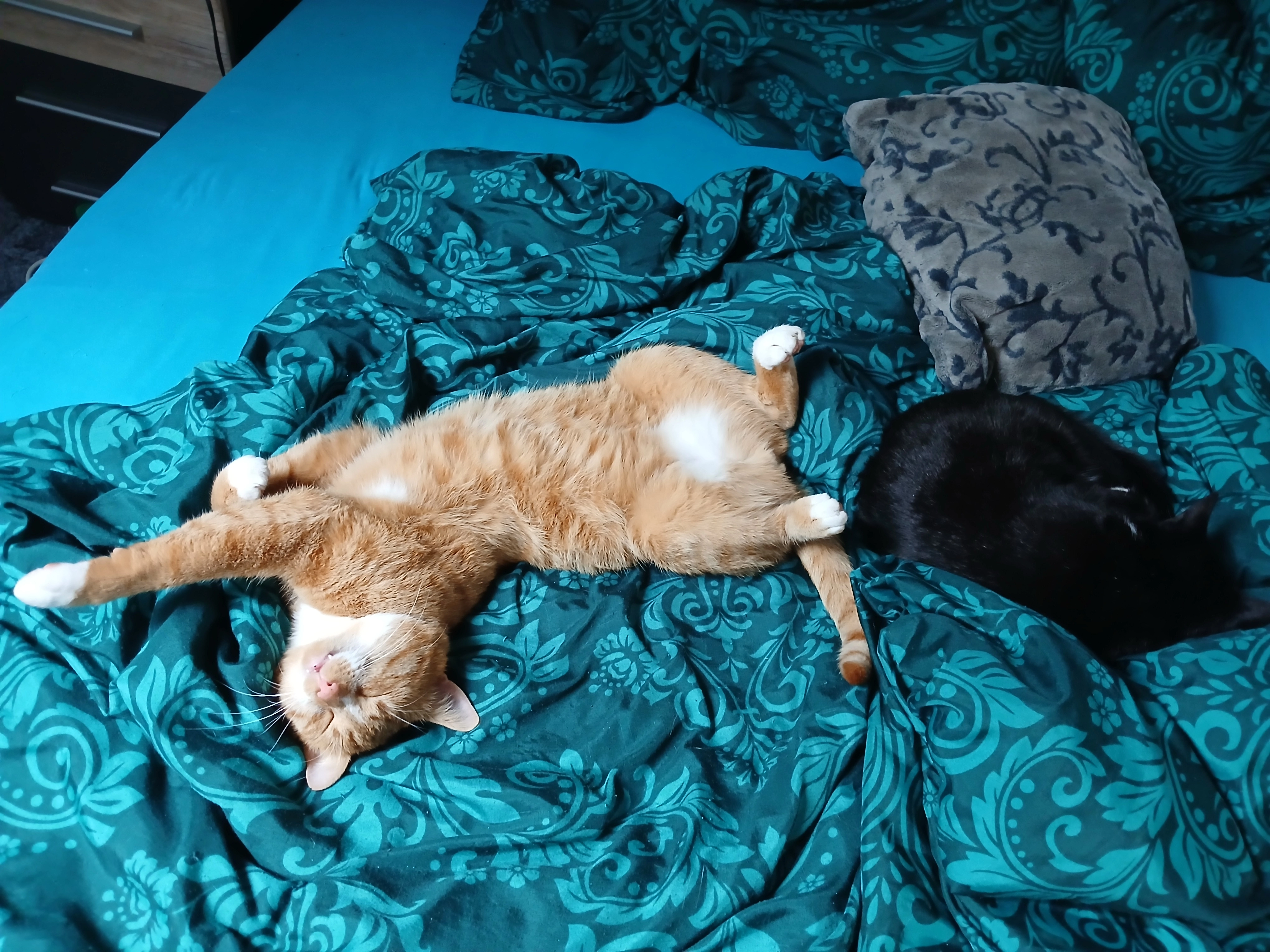 Vasilij - Thierbacher Straße, Penig