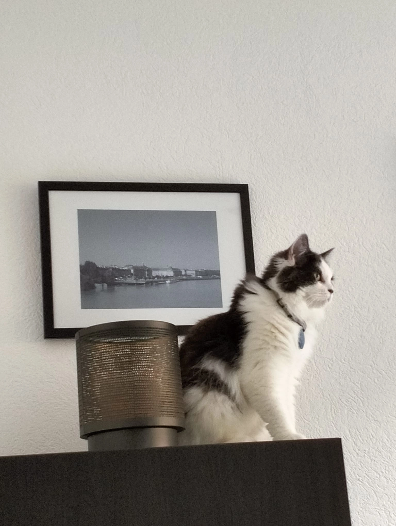 Mugy  - Route de Crassier 56, Chéserex