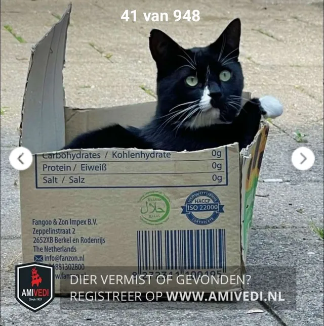 Zeytin - Voorde Dr, South Bend
