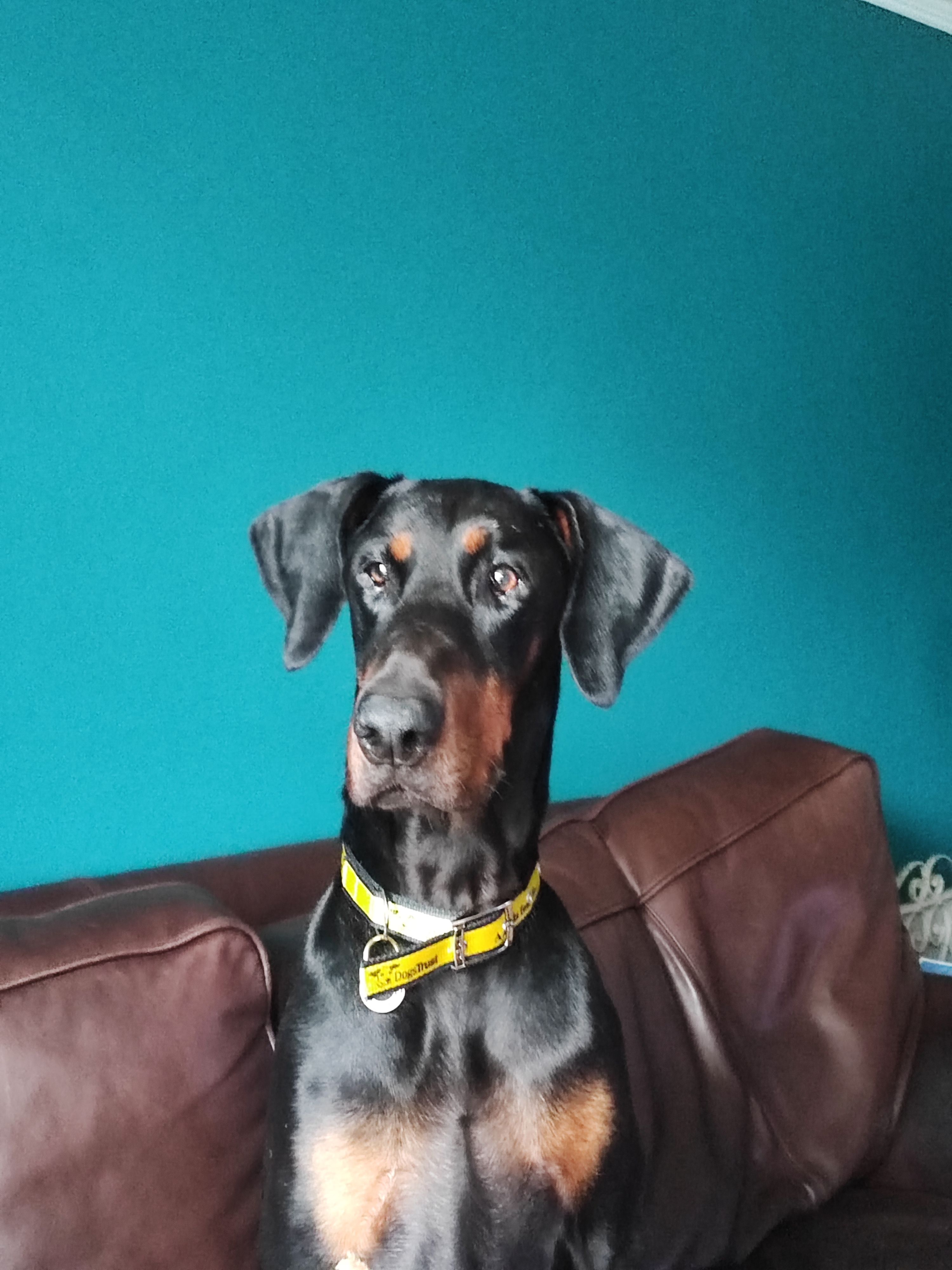 Duke - 386 London Road, Thatcham