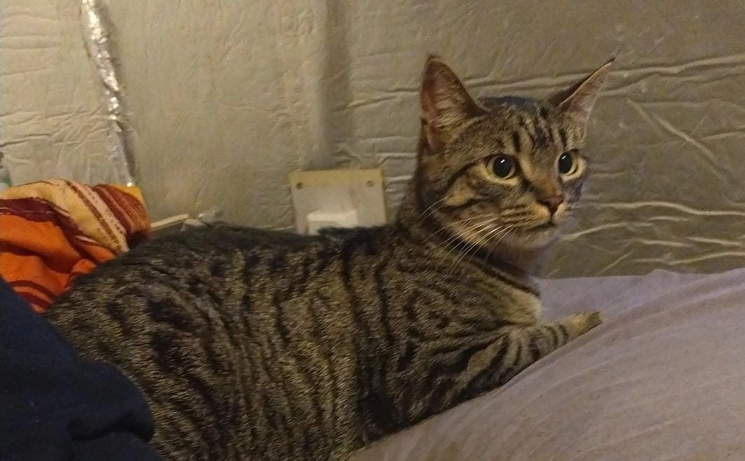 Lille - Illinger Straße, Eppelborn