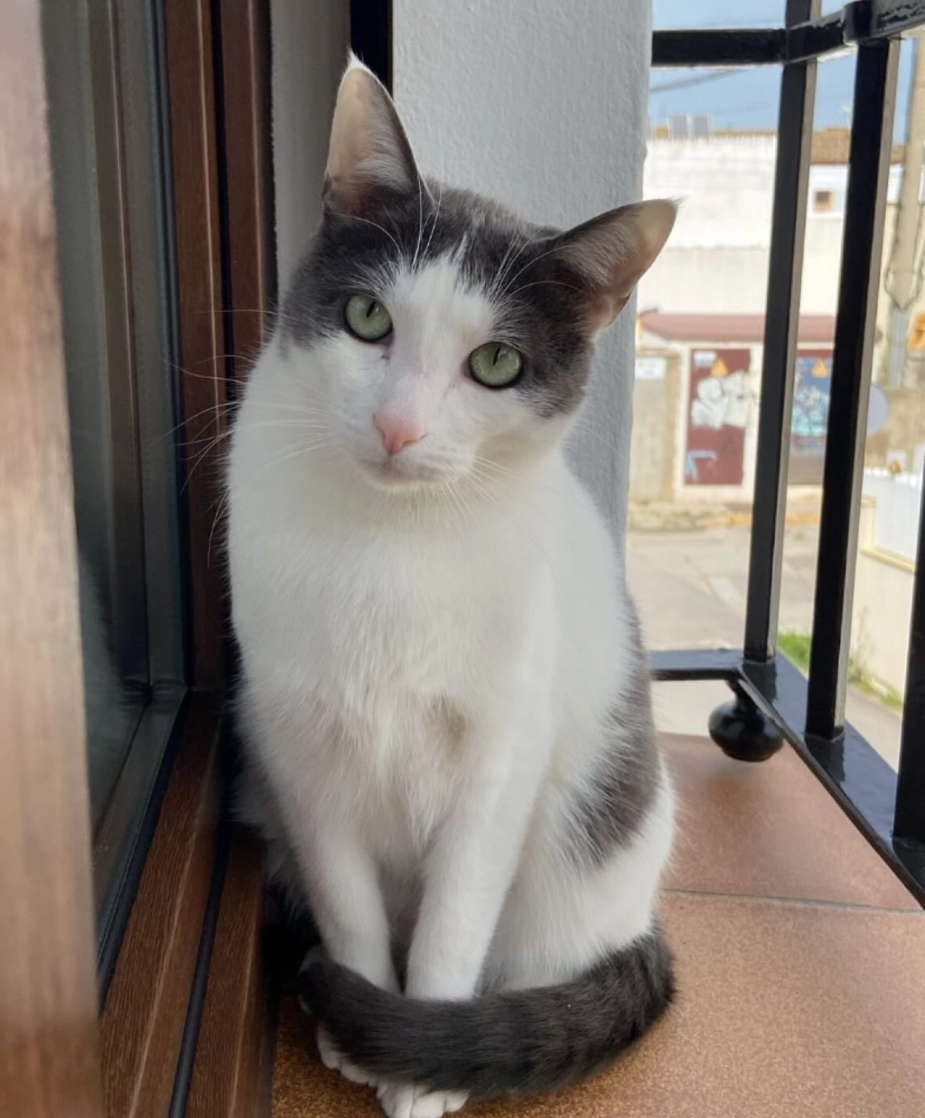 Keko - Camino de Los Quemados, Chipiona