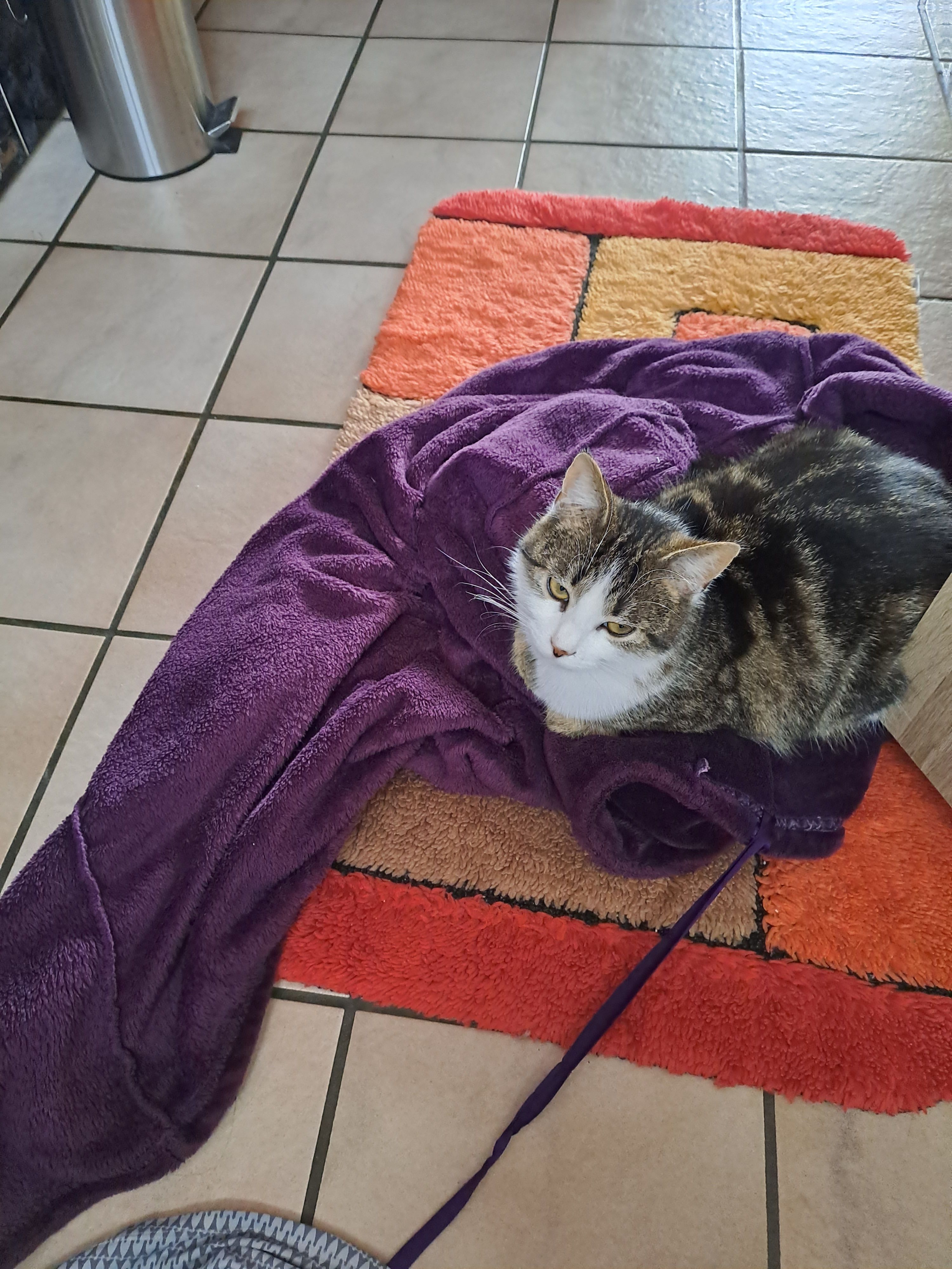 Tina - 68 Rue du Pâquis, Thiraucourt