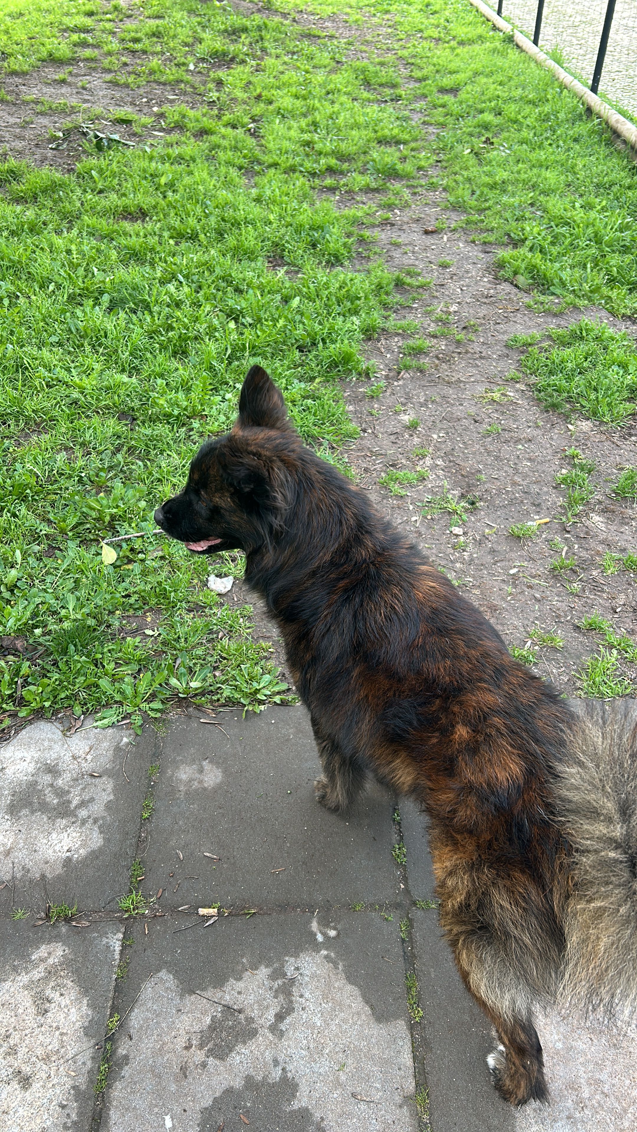 Bear - Rua 4, Lisbon