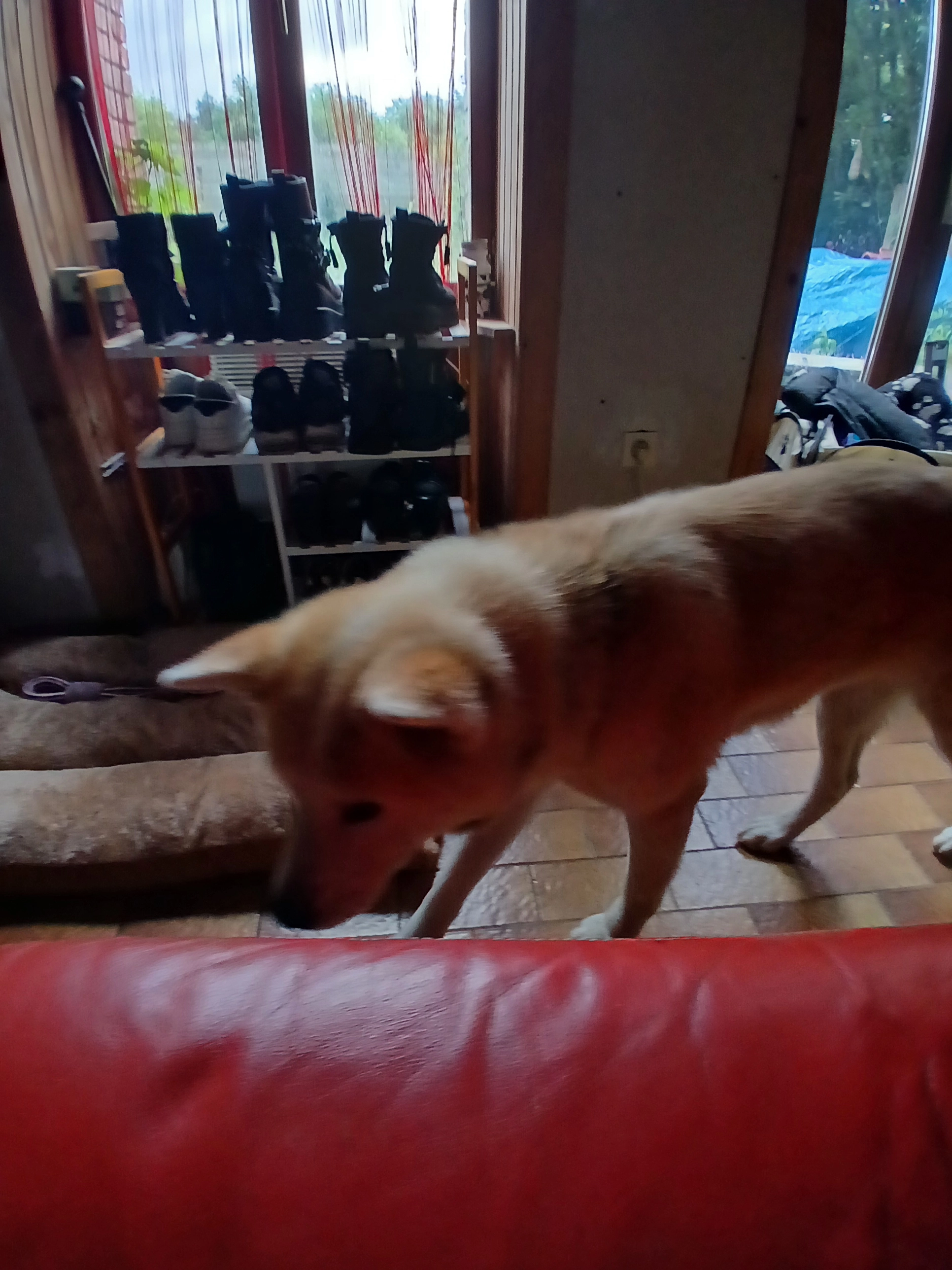 Tama - Chemin De Mocque Souris, Froidfond