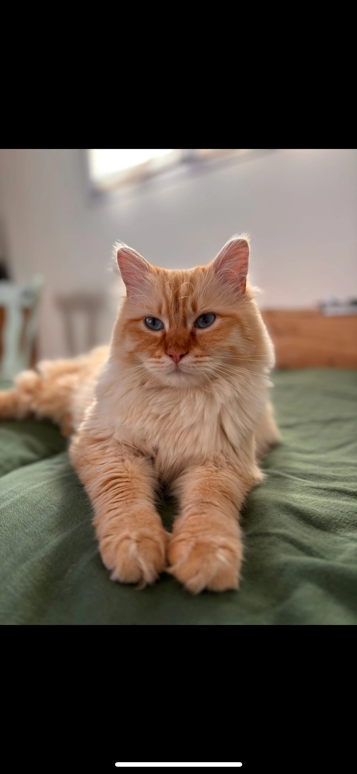 Soda - Rue Jacques Pasquier, Petiville