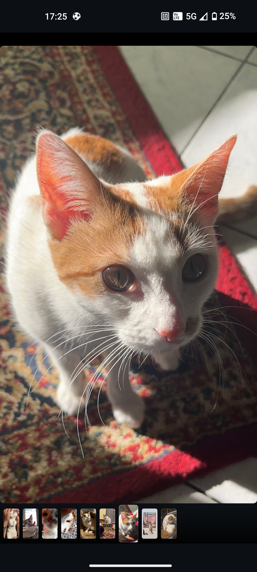 Muka - Via Ormea, Turin