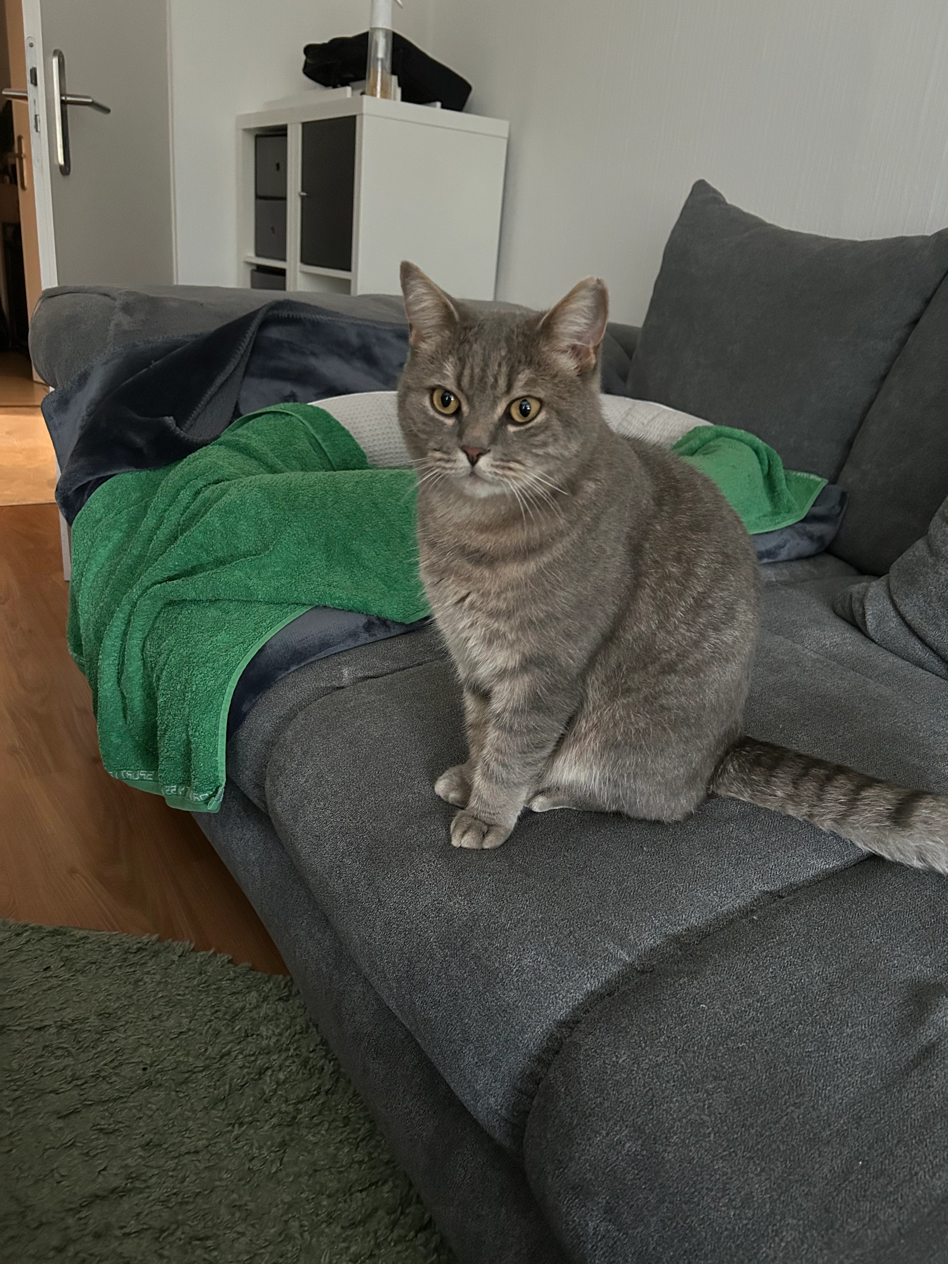 Pumba - Hatzenbergstraße, Olpe