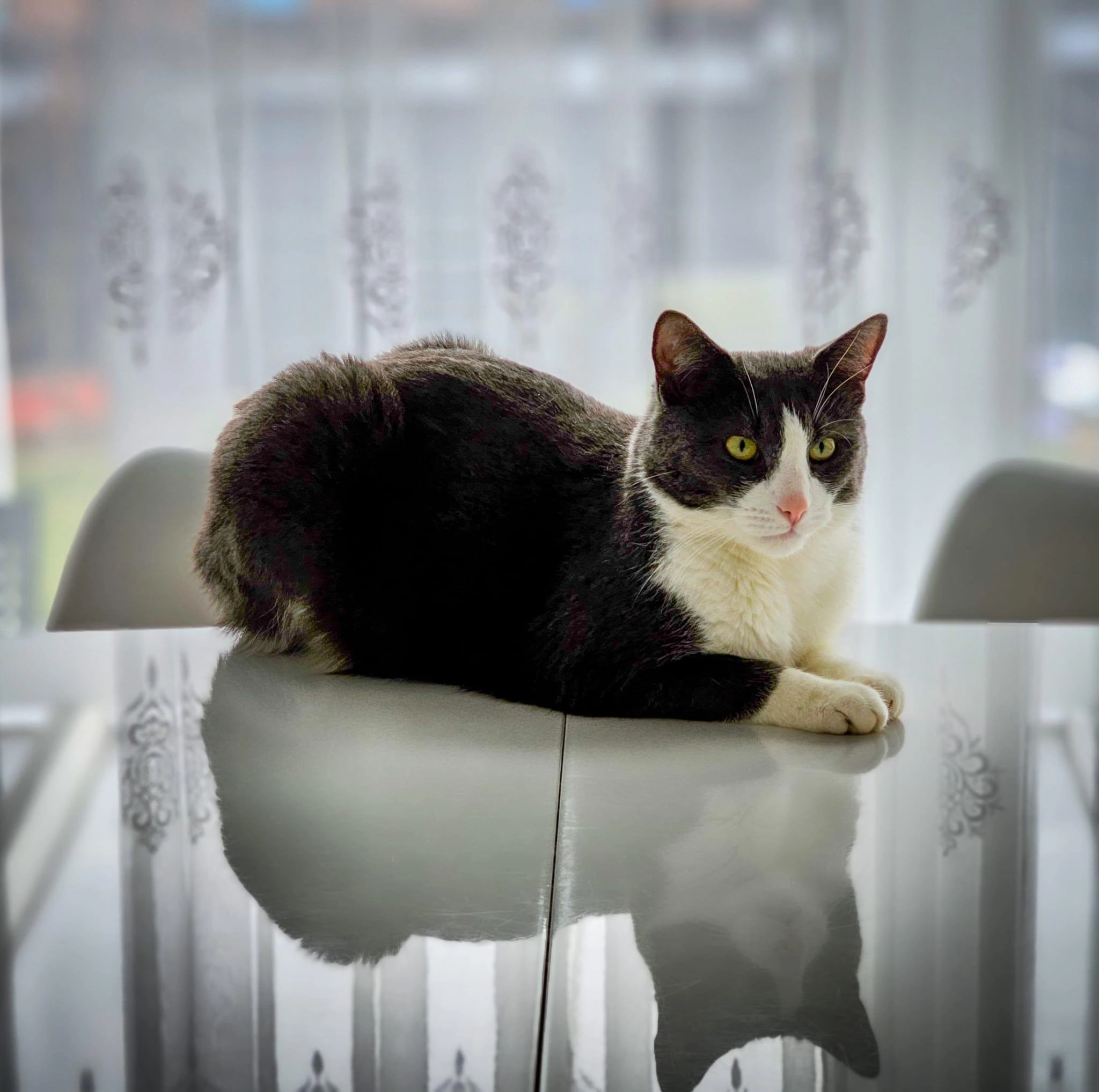 Pepe - Schoolkamp, Kiel