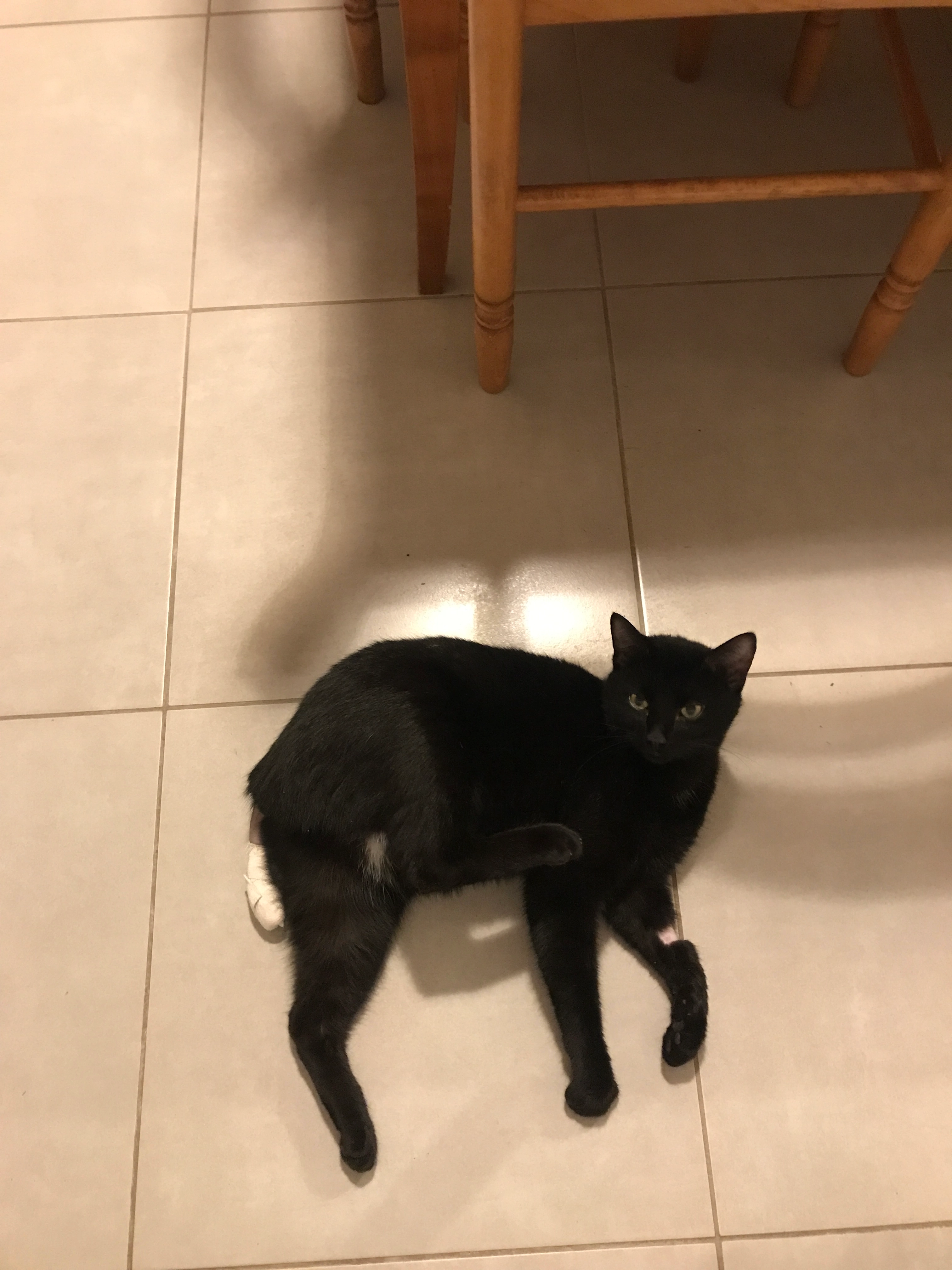 Moka - 18B Allée des Œillets, Douvres-la-Délivrande