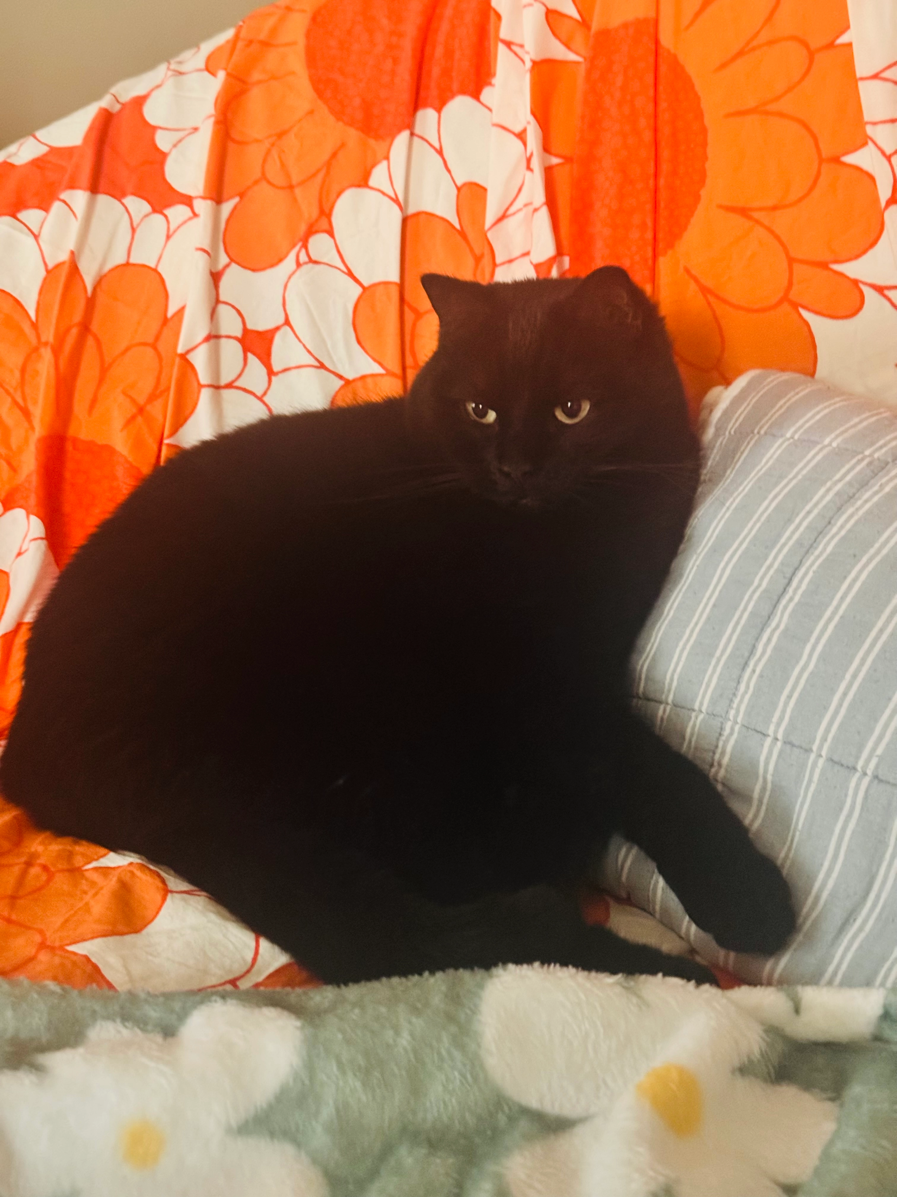 Mimi - Schlossbergweg, Baden