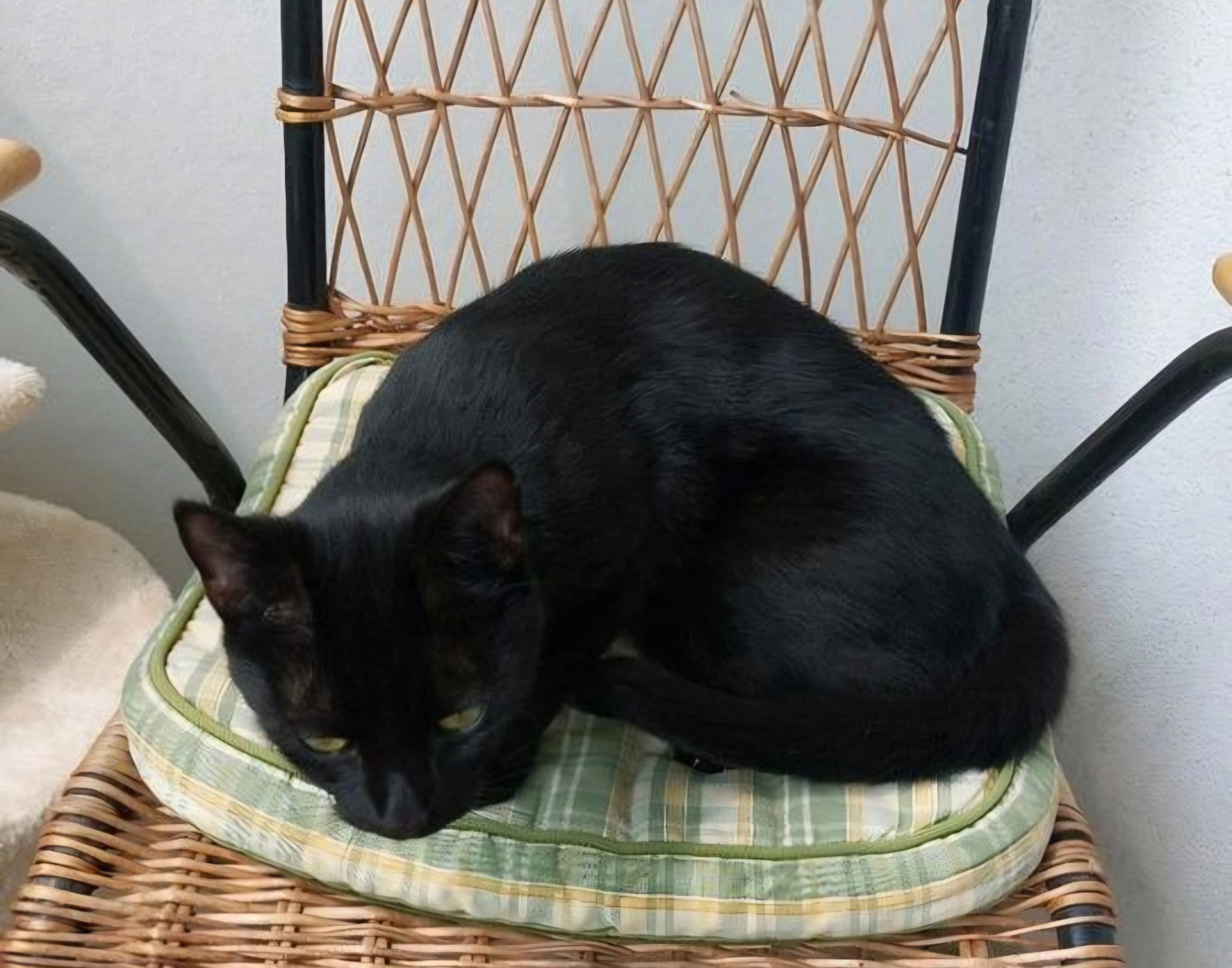 Lumaraa - 07549, Gera