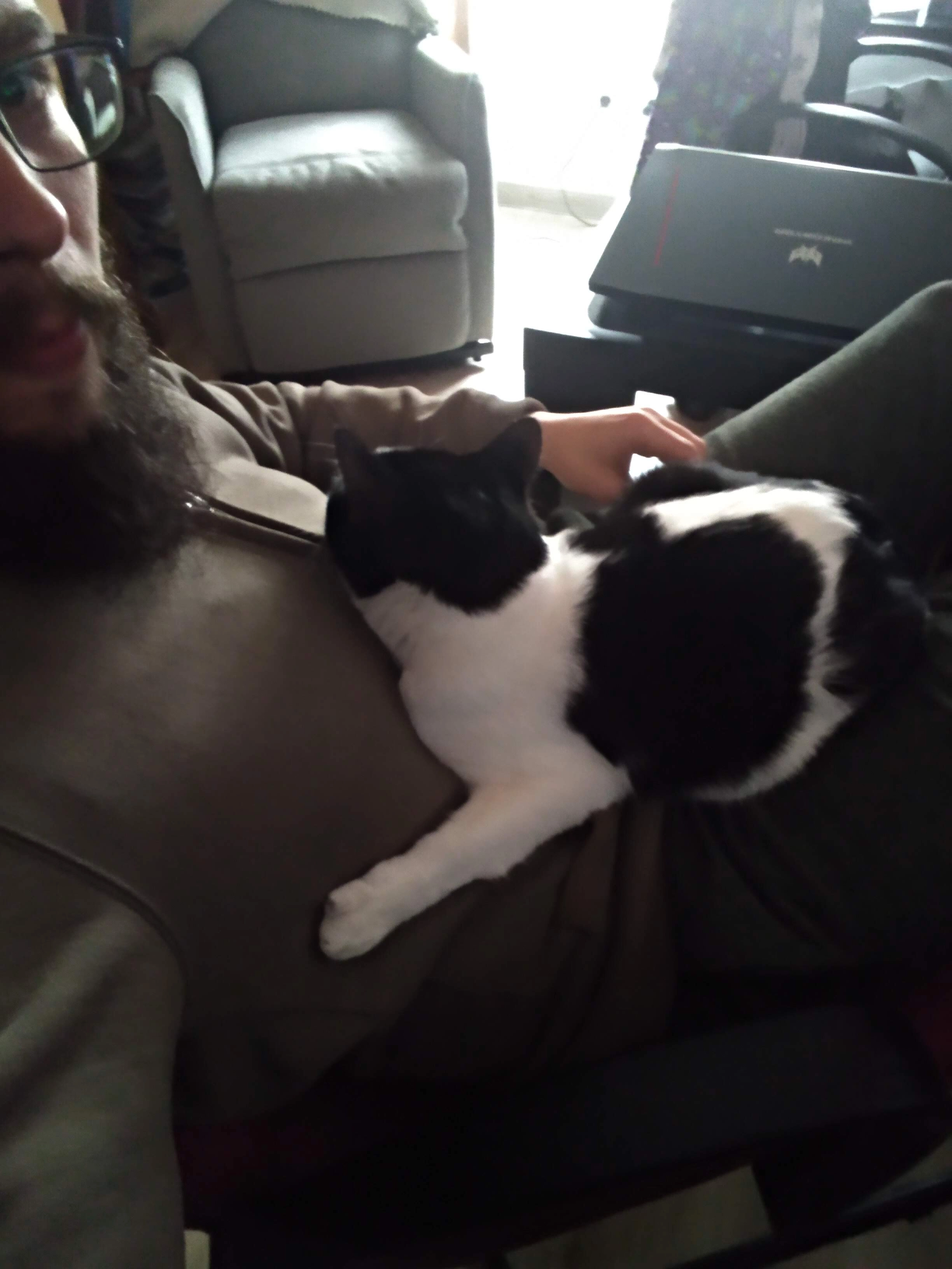 Chiwit - Calle Sierra De Layos, Argés