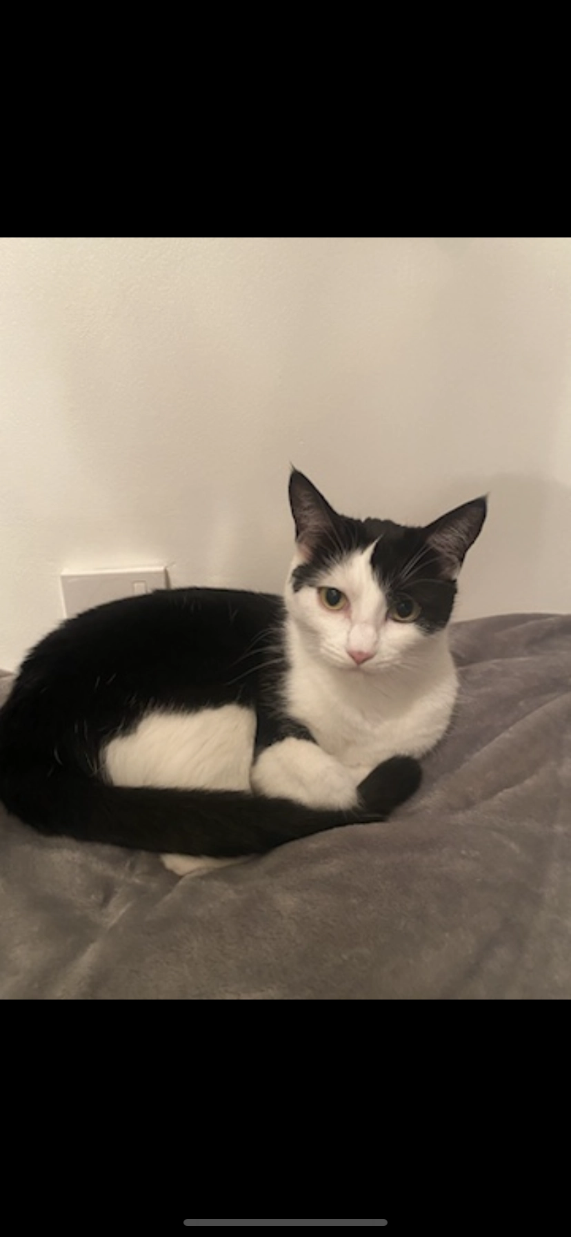 Penny  - Clive Lane, Cardiff