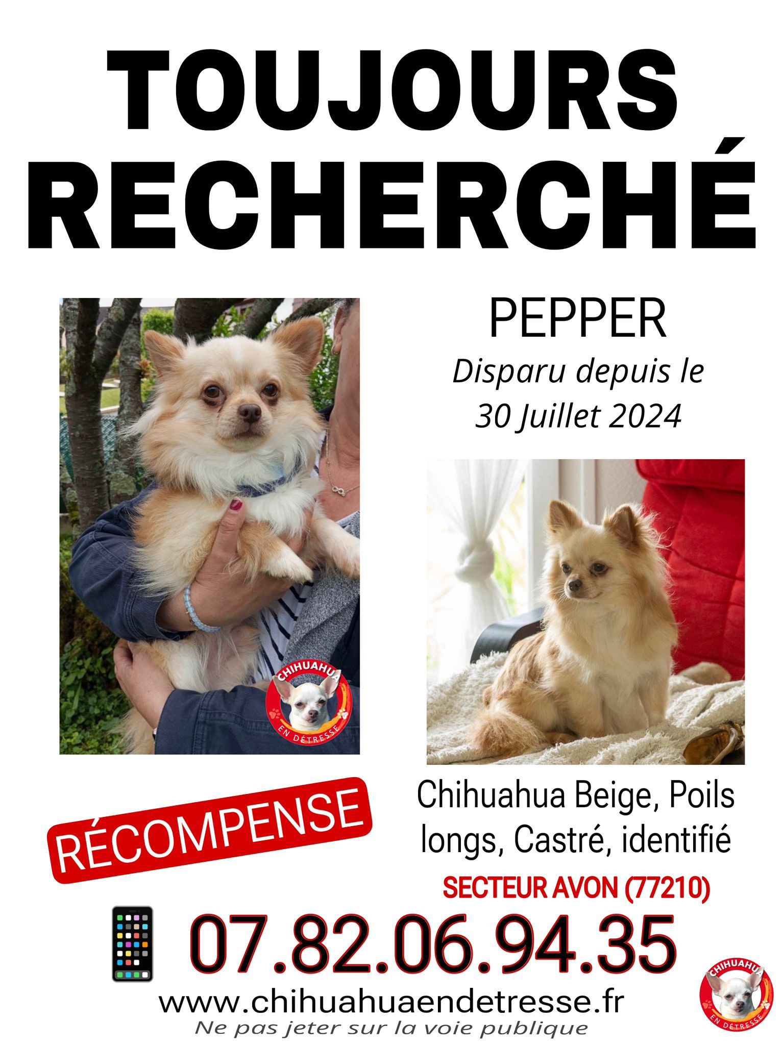 Pepper - Quai De Seine, Vernou-la-Celle-sur-Seine