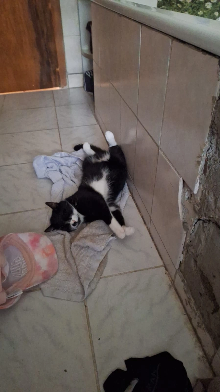 Lala - Brookstraße, Steinfurt