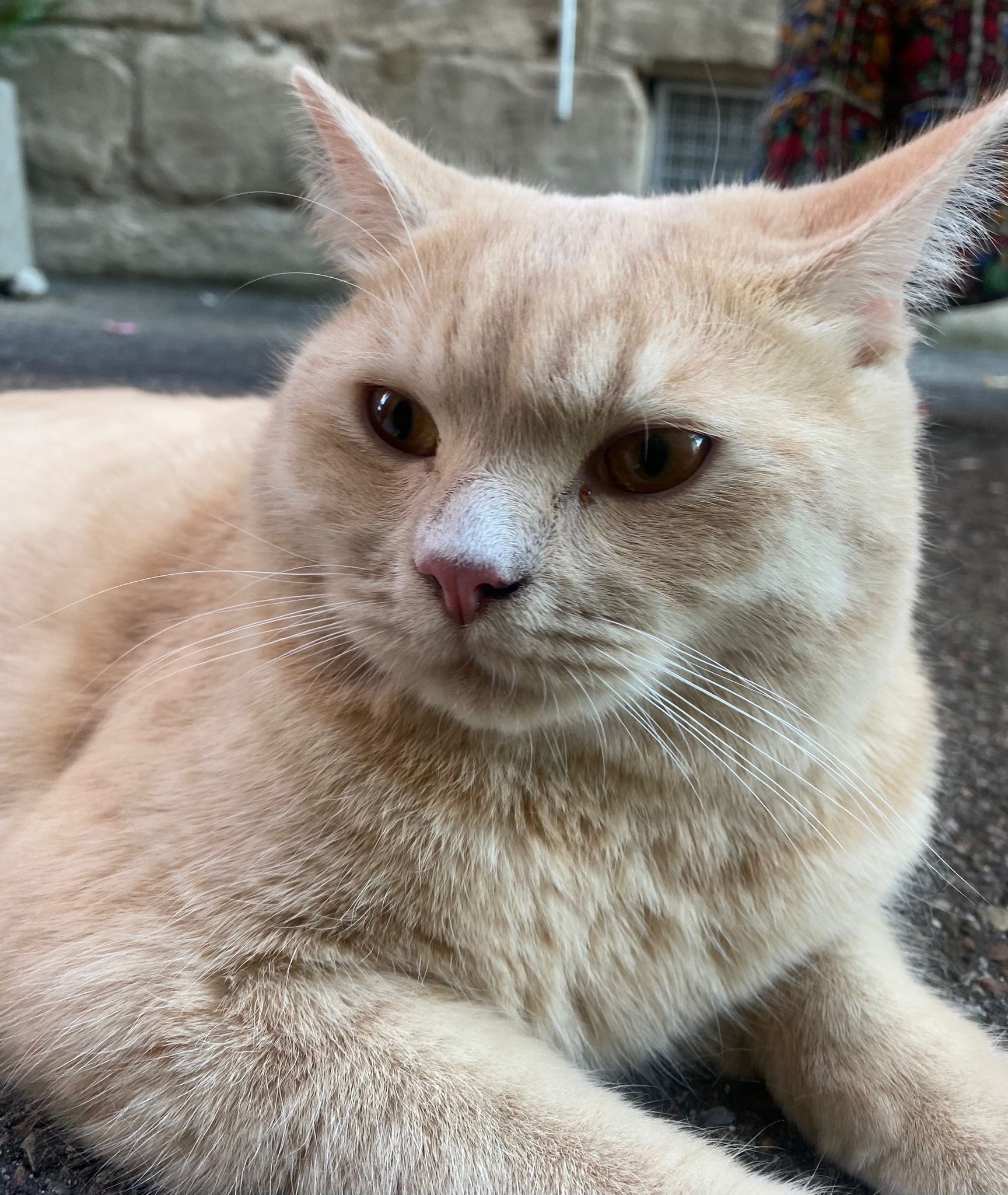 Roni - Julius-Leber-Straße, Aalen