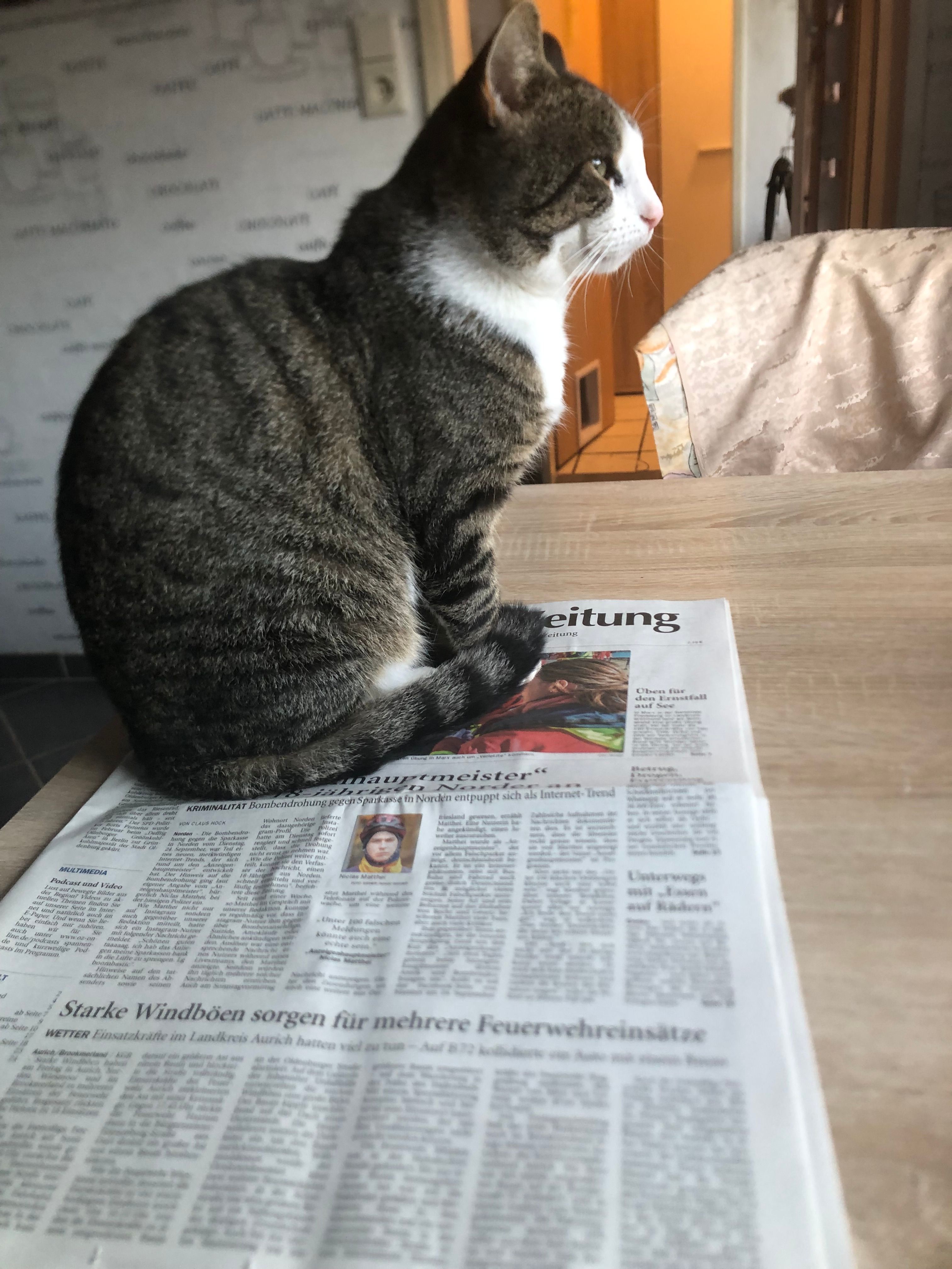 Filou - Lönsweg, Leer