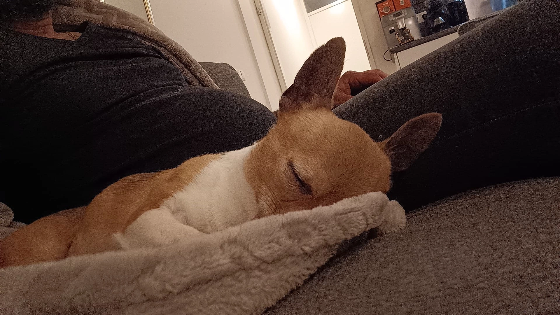 Cho - De Steiger, Almere