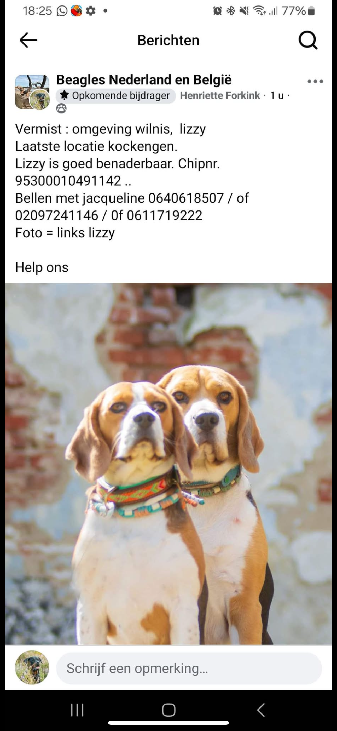 Lizzy - Bosdijk, Kockengen