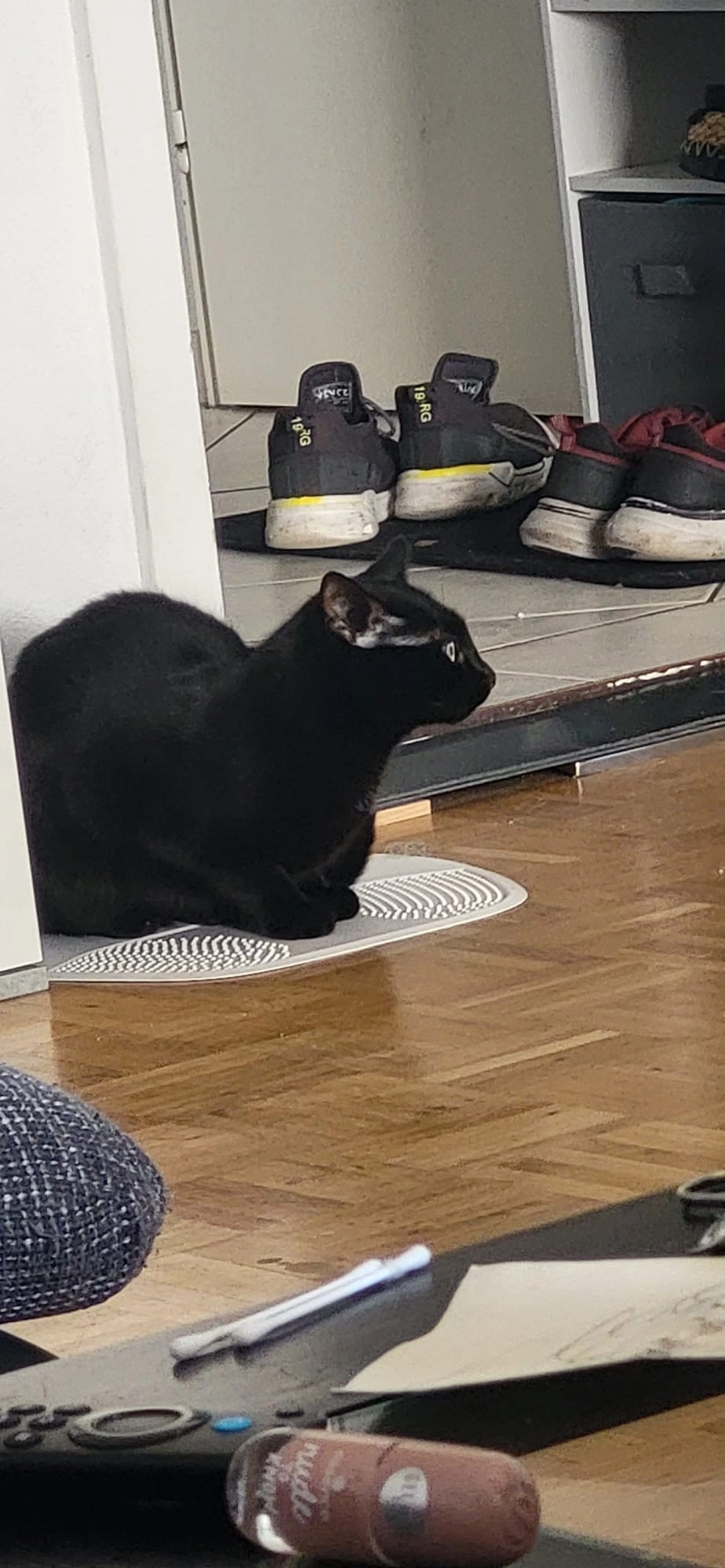 Morty - Brandenburger Straße 9B, Konstanz