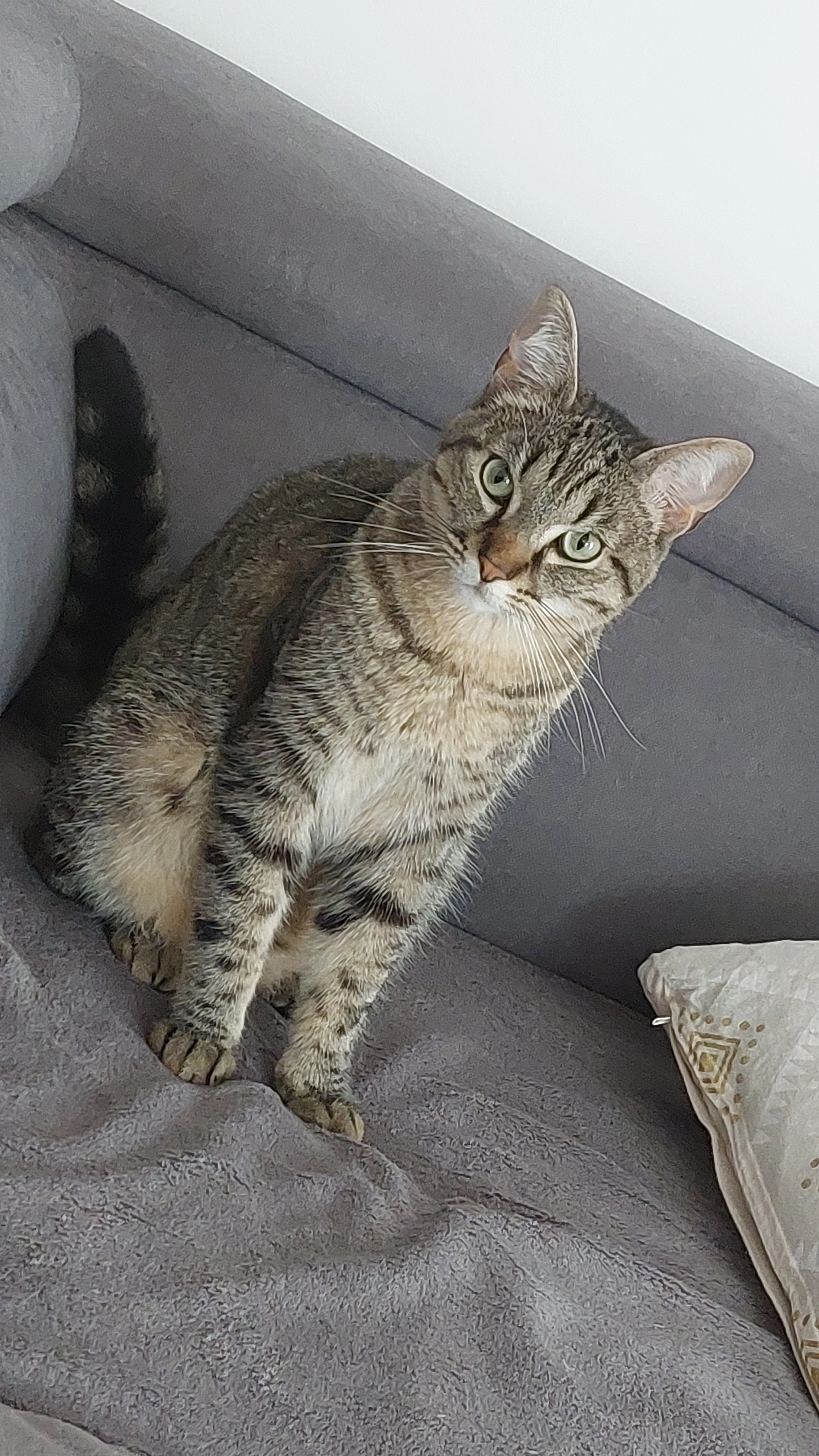 Pixel - Impasse du Château, Corquilleroy