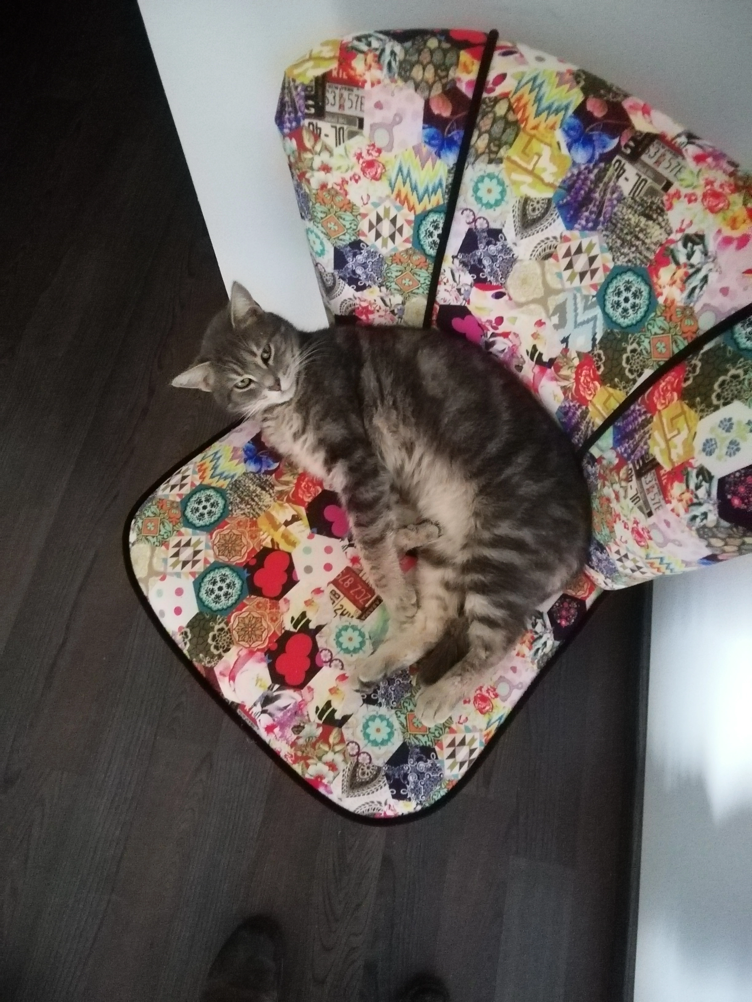 Titou - 1B Rue de la Créa, Bligny-lès-Beaune