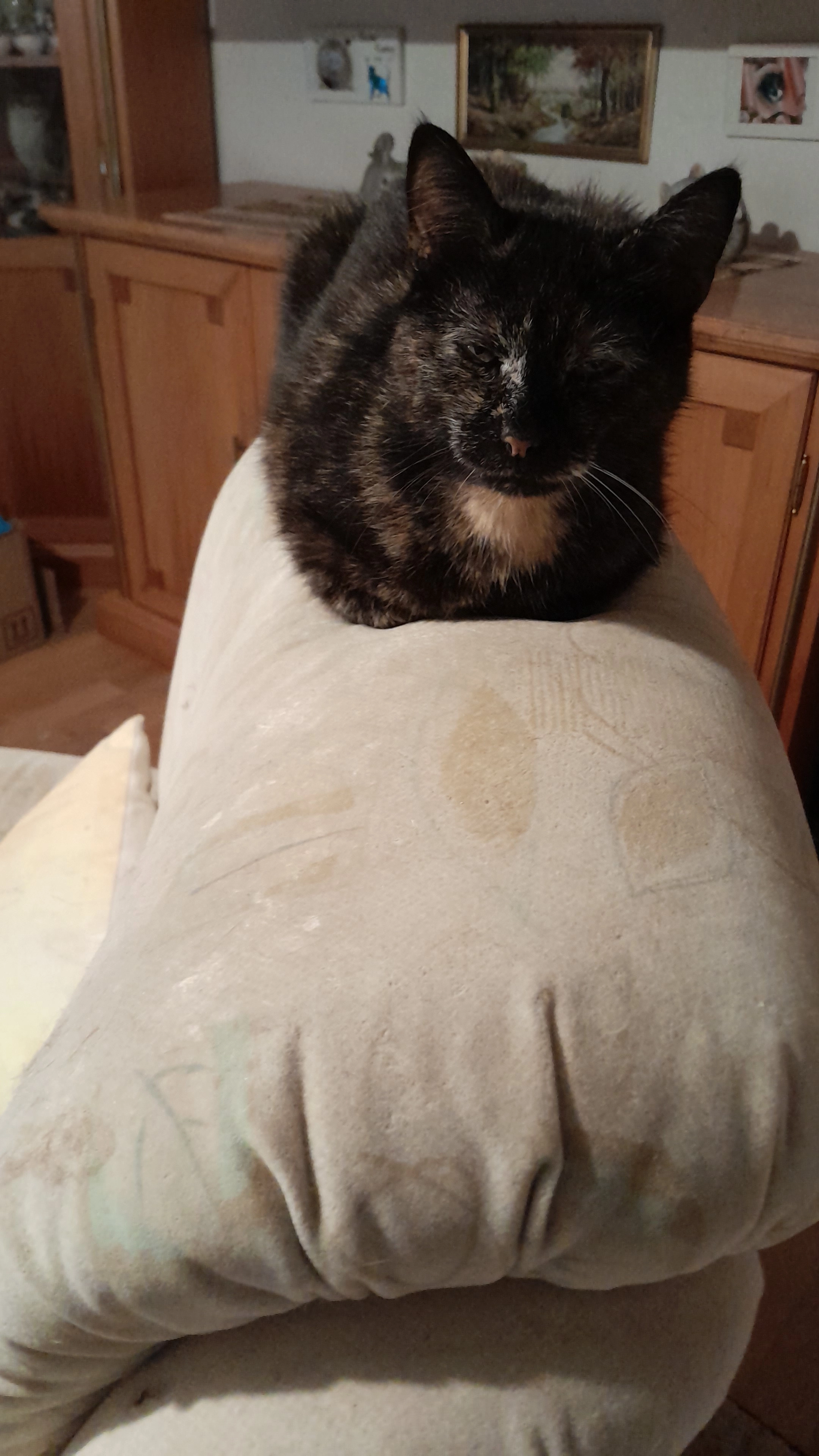 Susi - Gerhart-Hauptmann-Straße, Bad Füssing