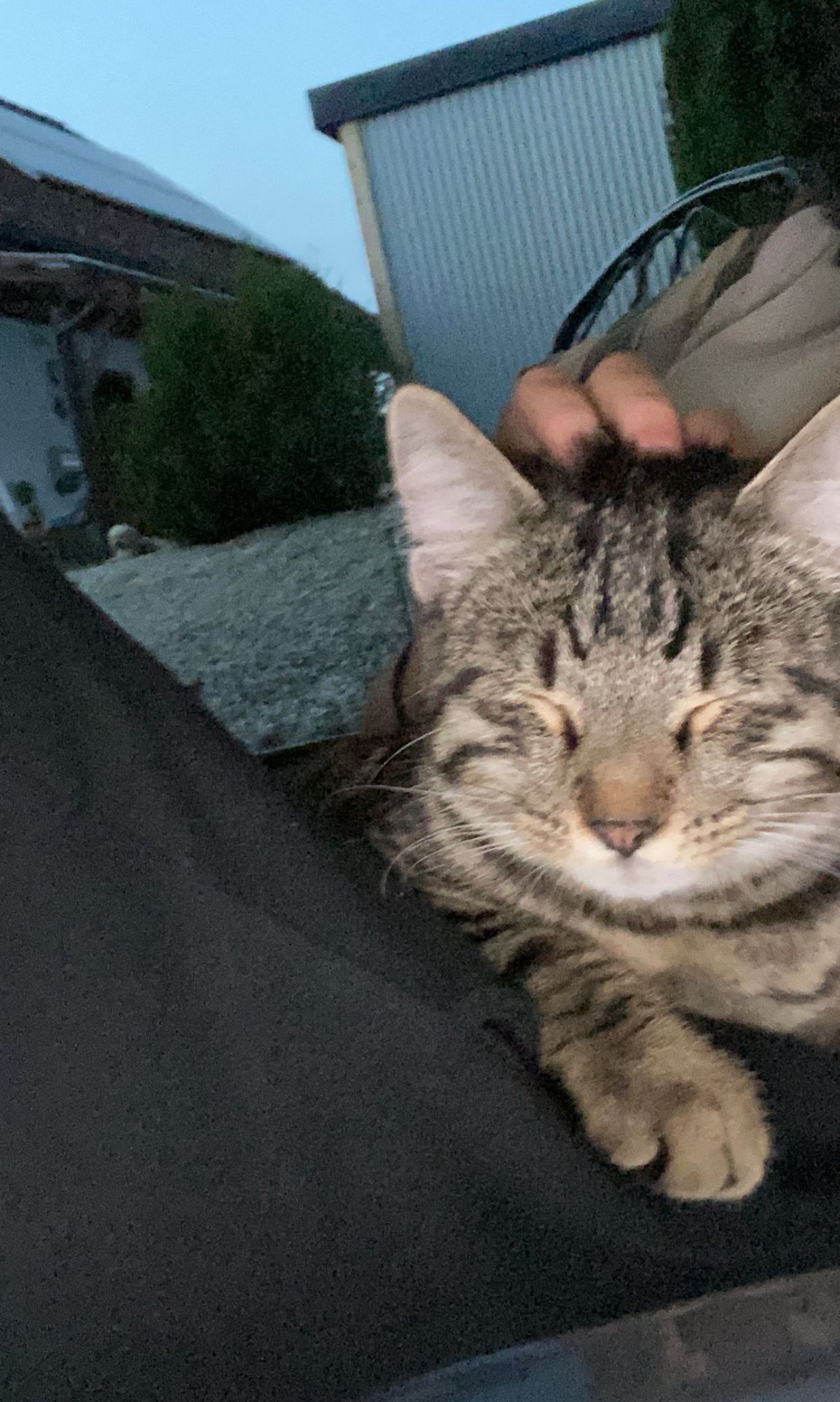 Kirito - Oberer Torplatz , Auerbach in der Oberpfalz