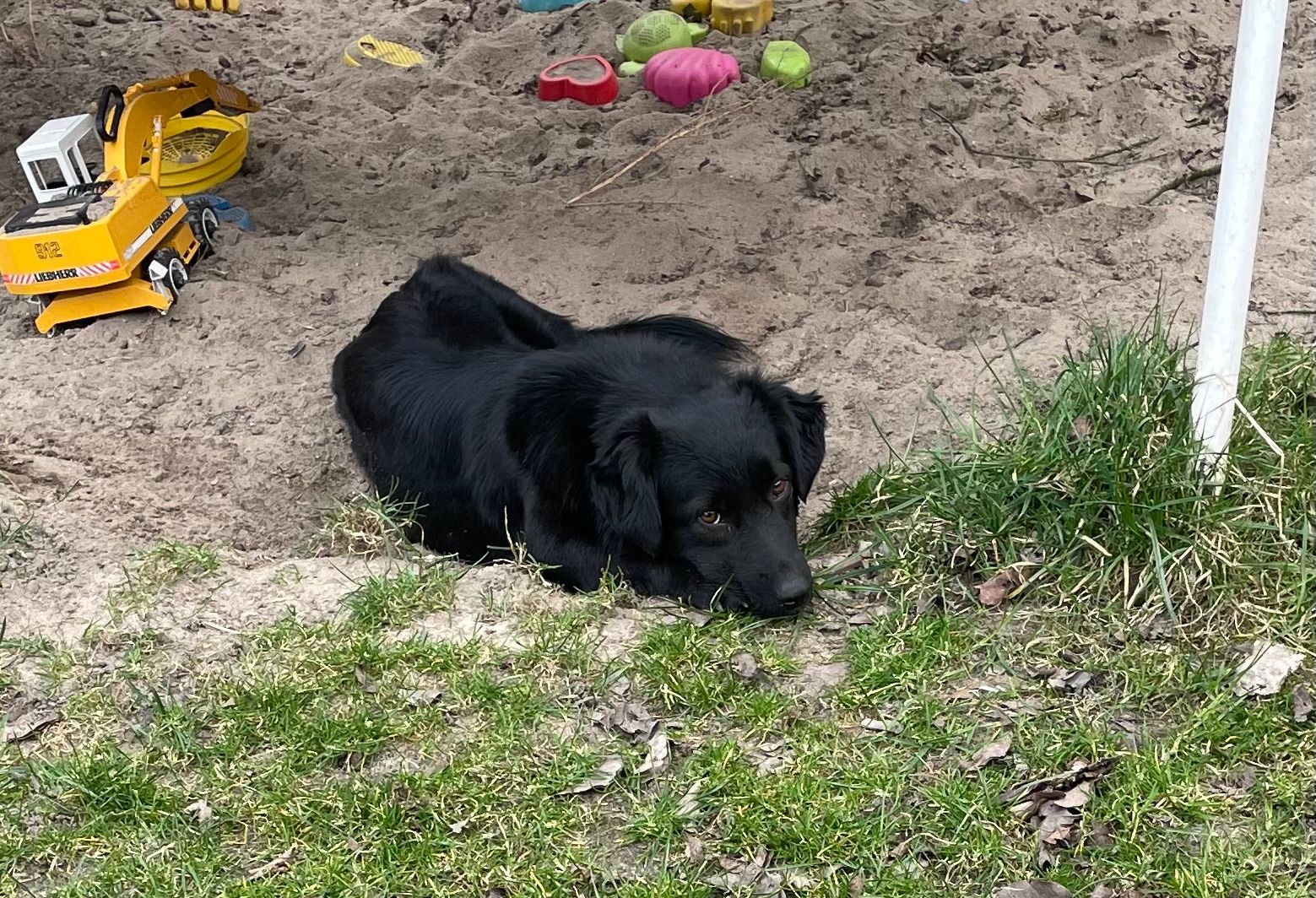 Bonnie - Welsickendorf, Niederer Fläming