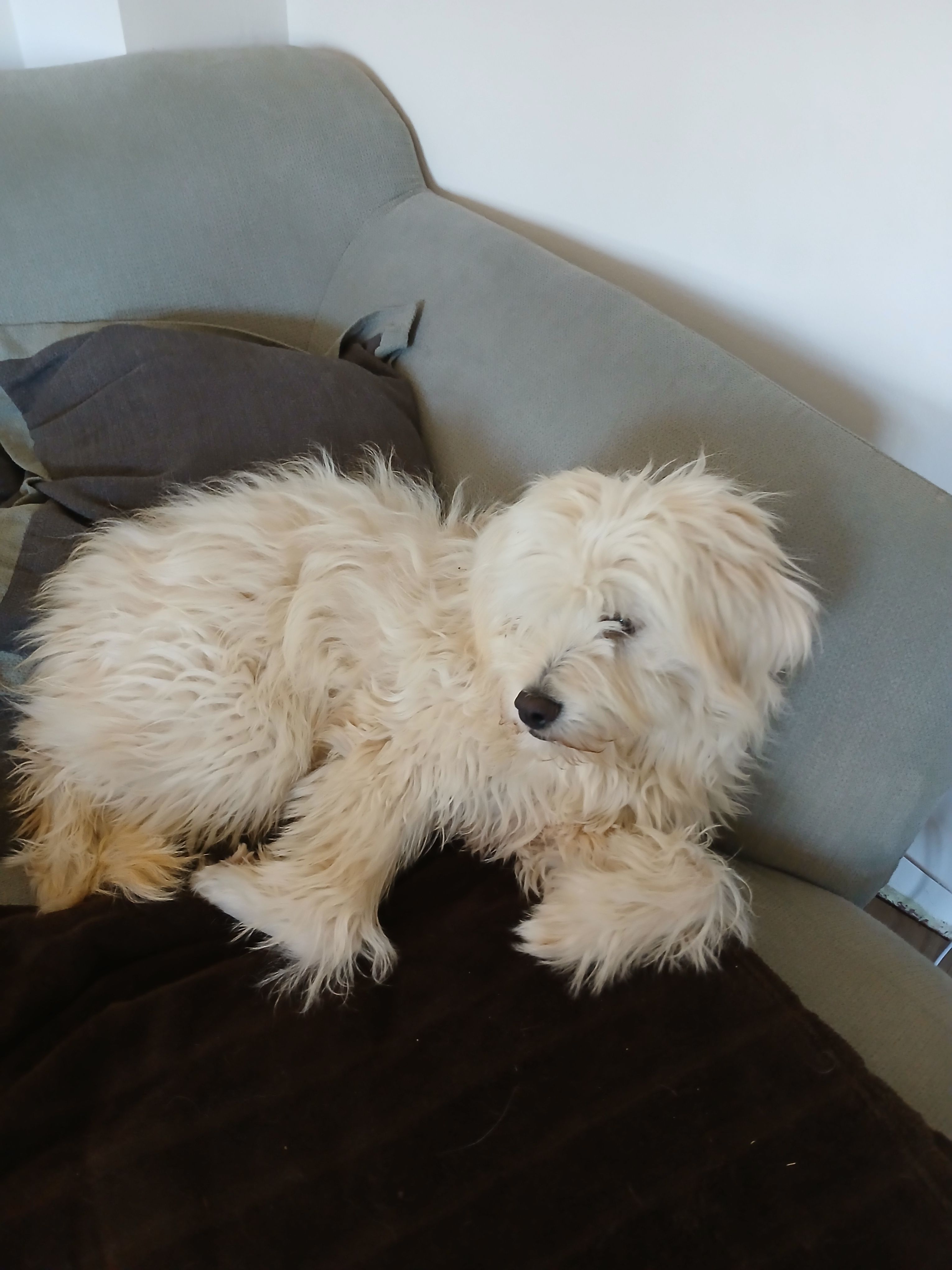 Ludwig  - Heimgarten, Frauenneuharting