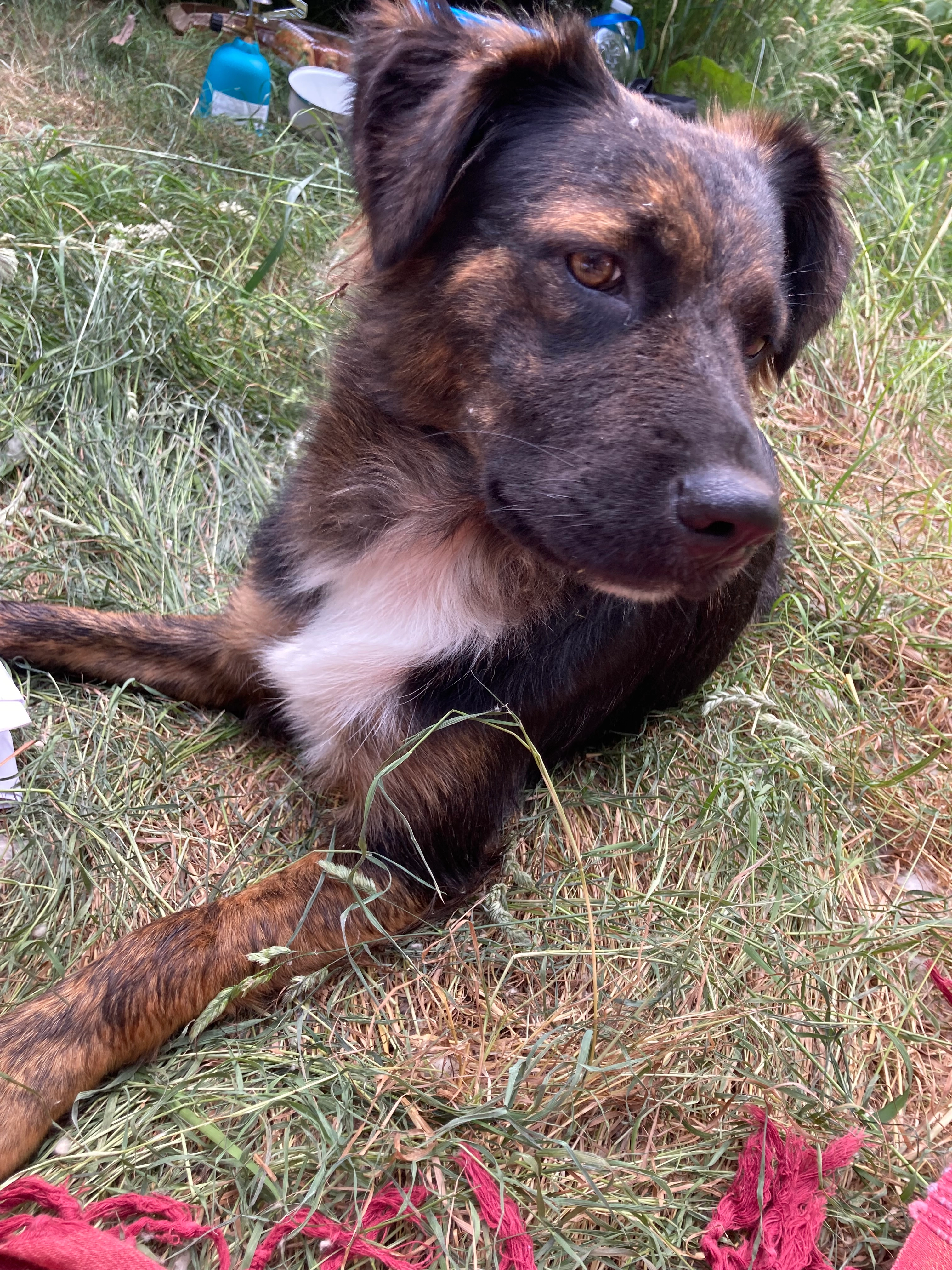 Vahala  - Périphérique Intérieur, Basse-Goulaine