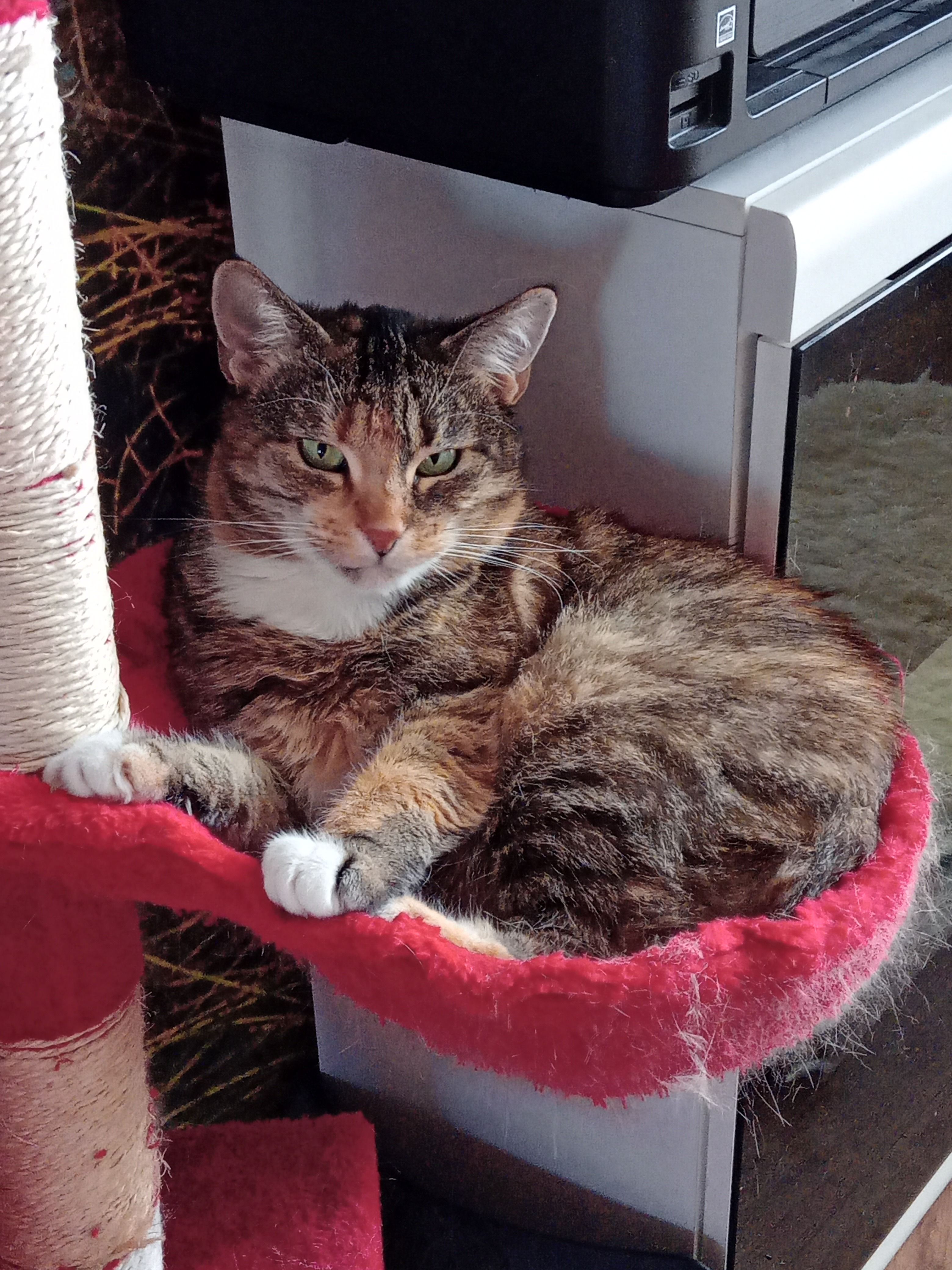 heide - Przestrzenna, Stettin