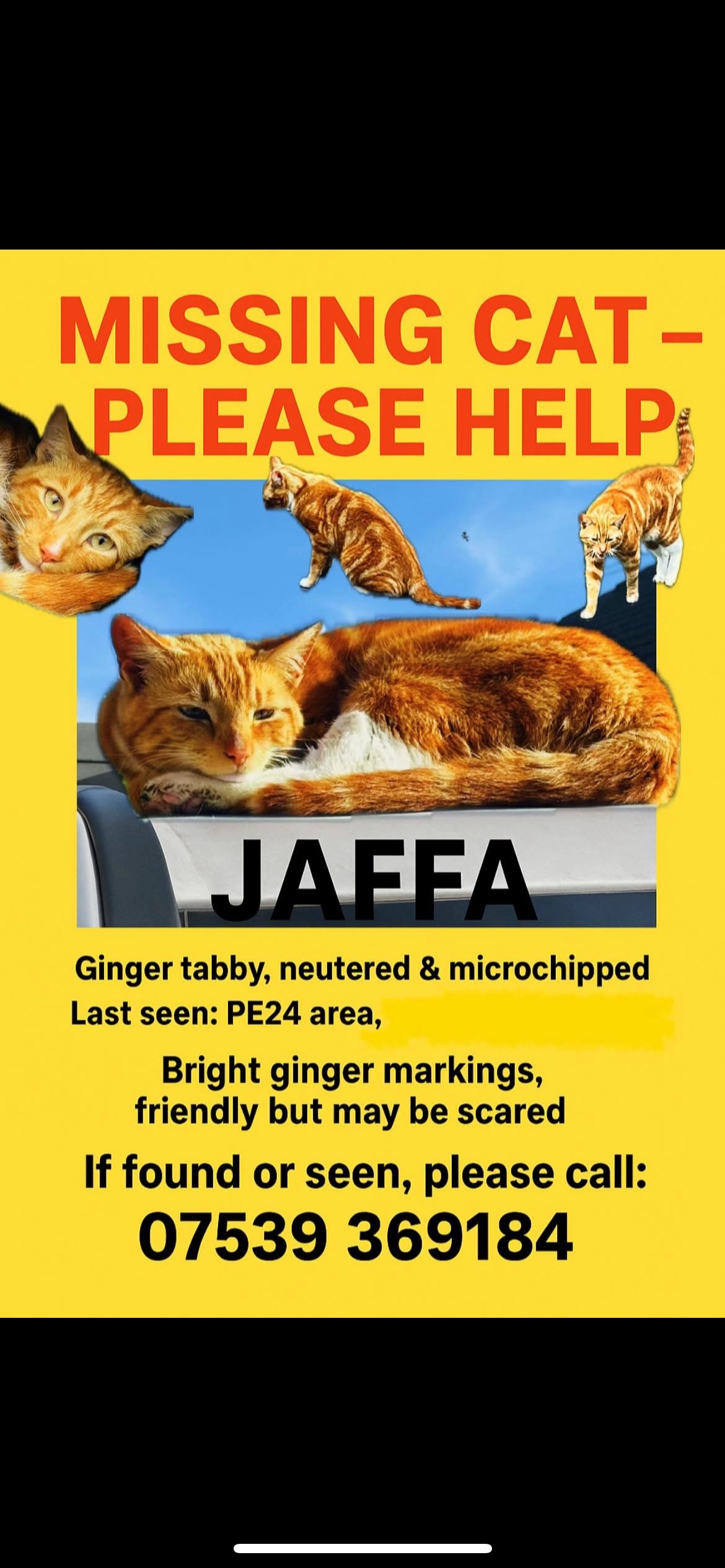 Jaffa - Rumbold Lane, Skegness