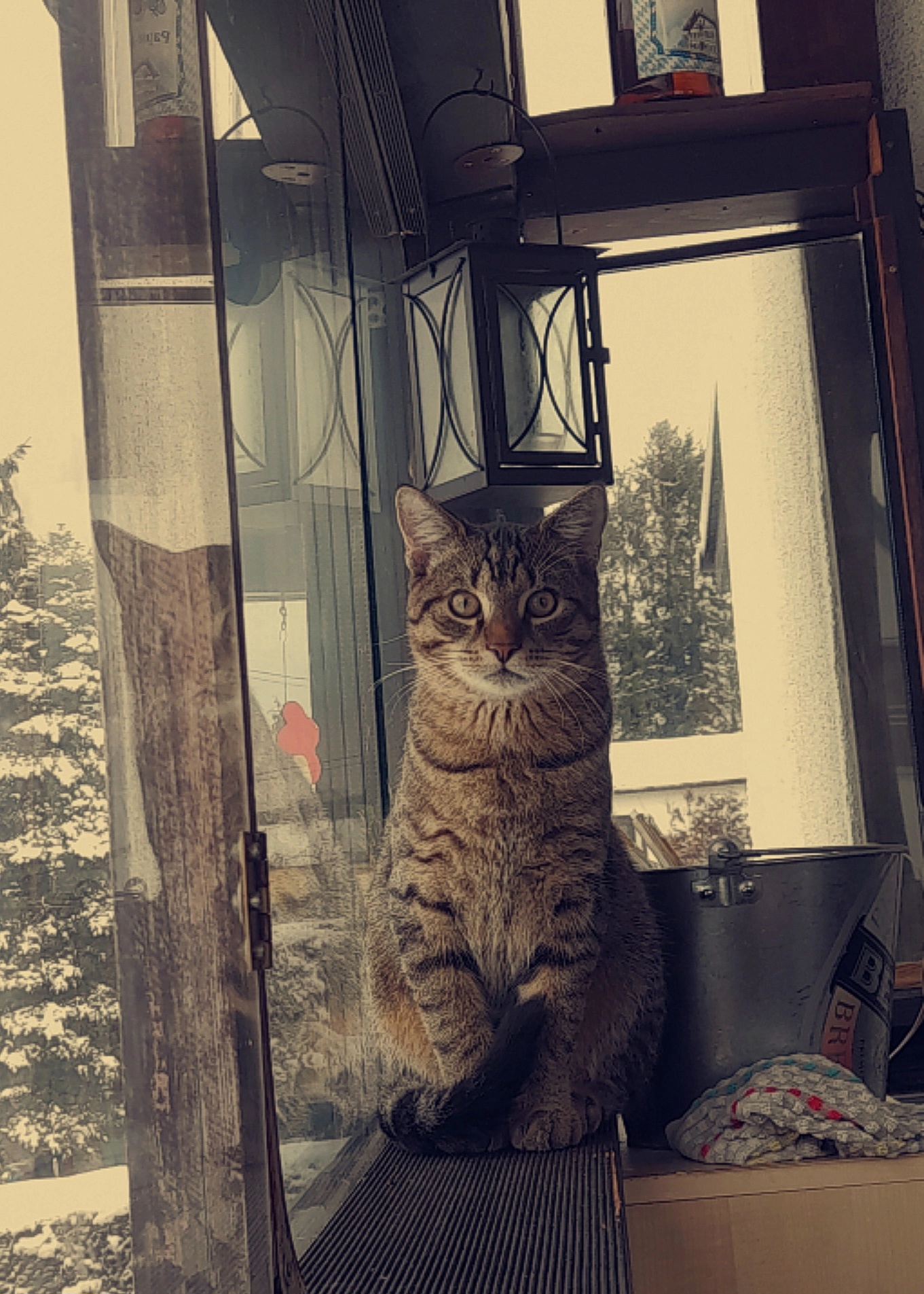 Charly - Im Wiesengrund, Neustadt wied