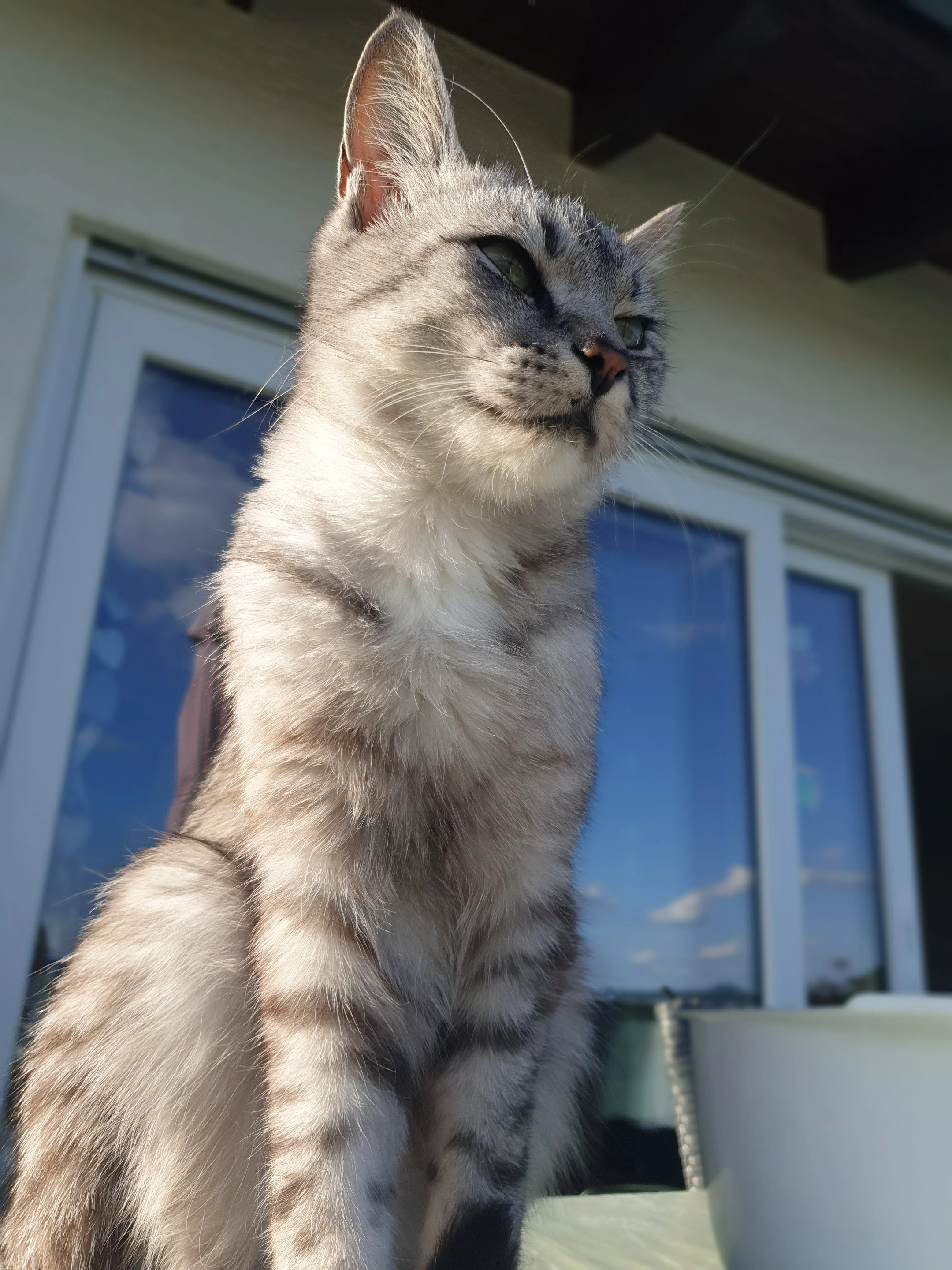 Findus - Birnenallee, Gudensberg