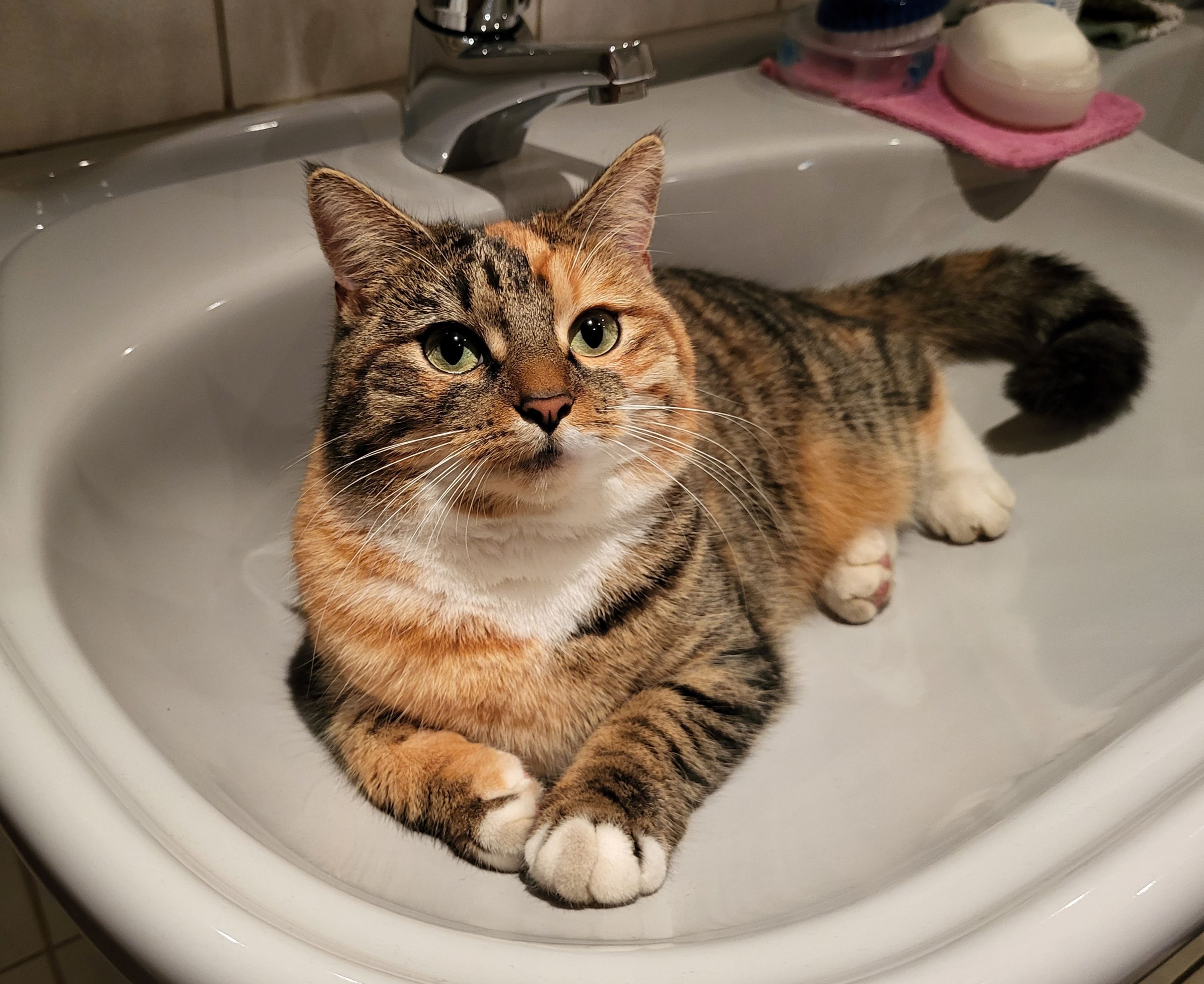 Minka - Püchersreuter Straße, Störnstein