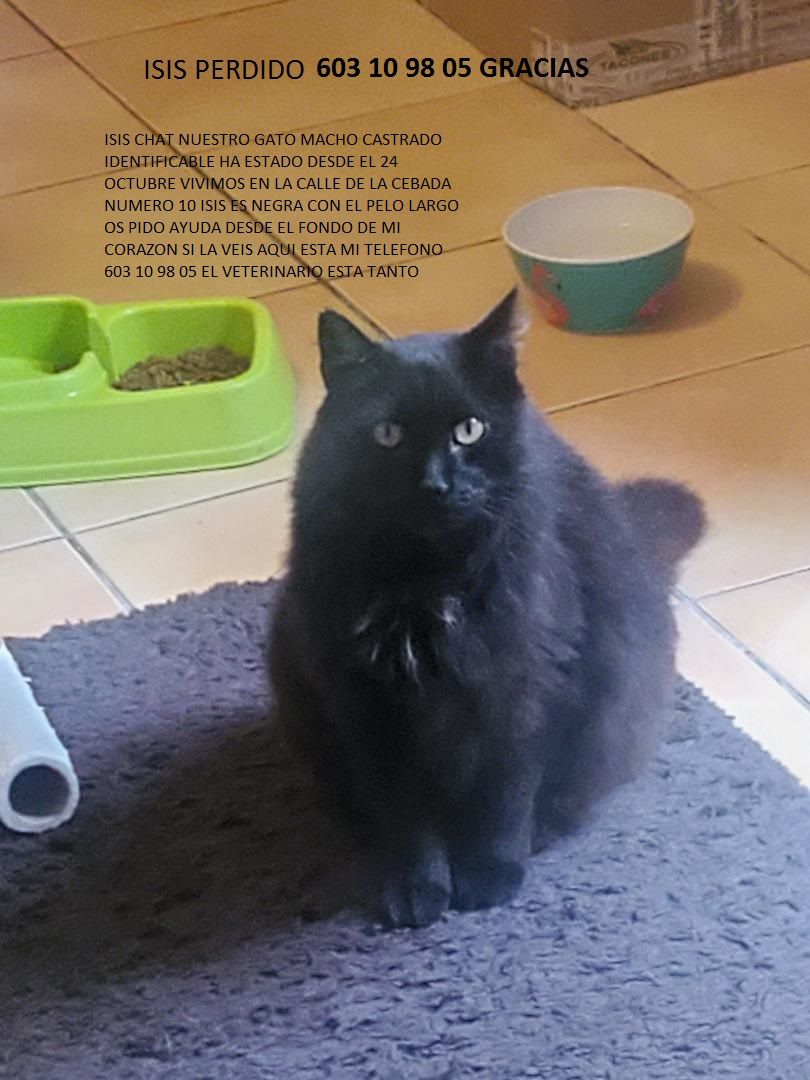 ISIS - 30590, SUCINA