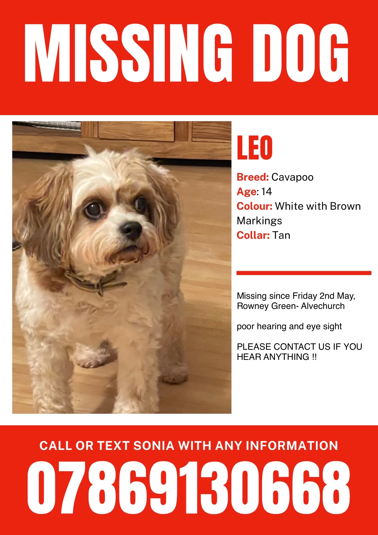 leo - B48 7, Birmingham