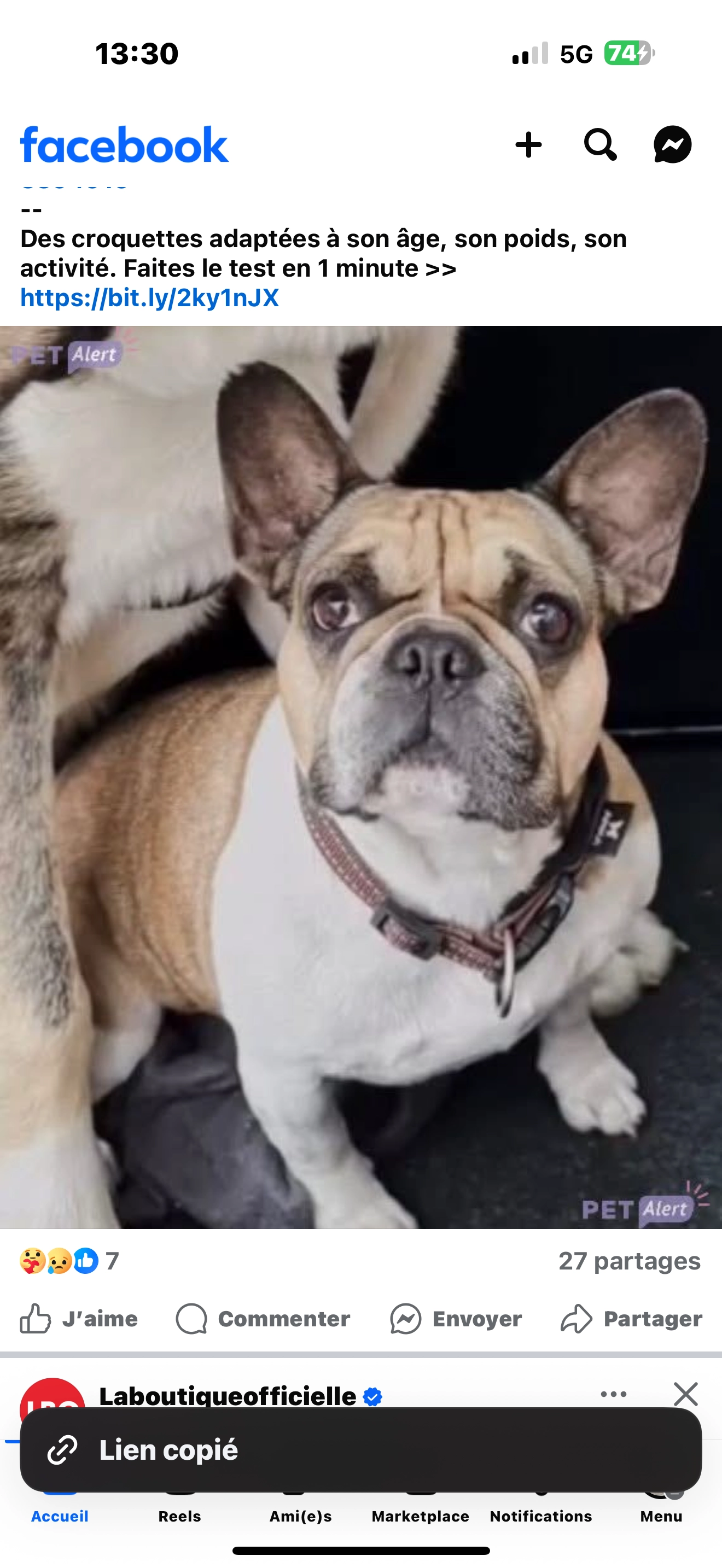 Suzie - Rue de Canavières, Albi