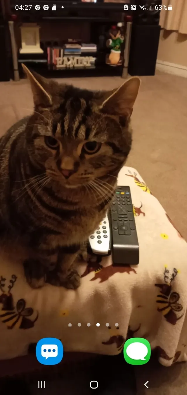 Dobby - Wellesley Road, Clacton-on-Sea