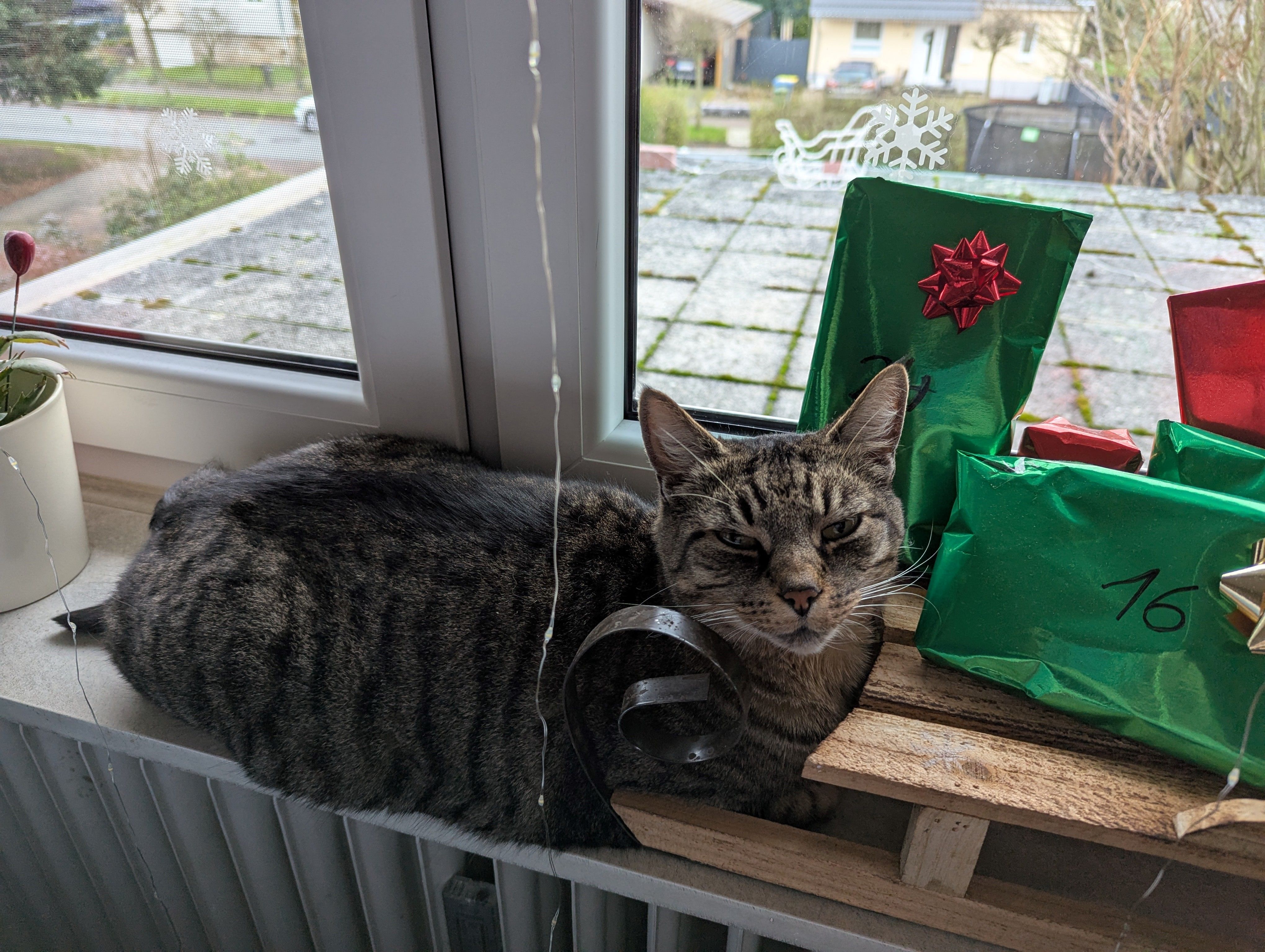 Pepe - Kragenhofer Straße, Staufenberg