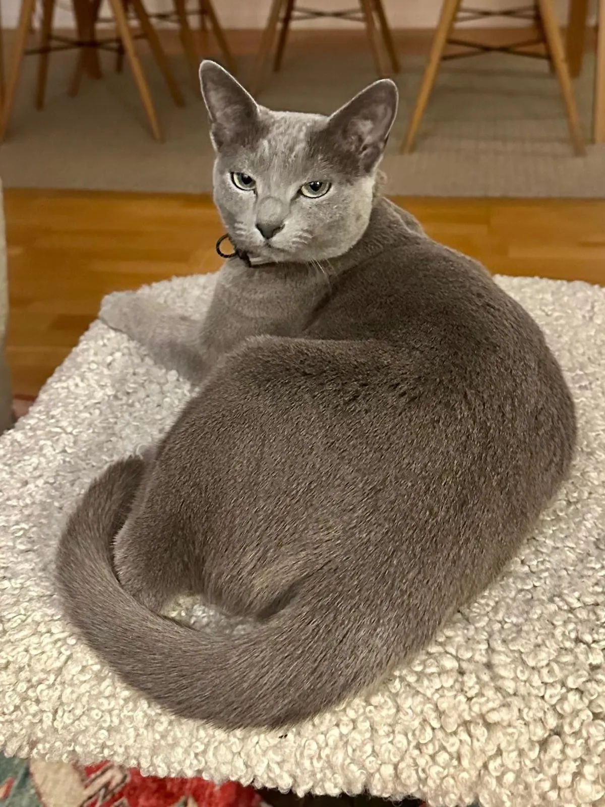 Olga - Norra Fiskebäcksvägen 246, Göteborg