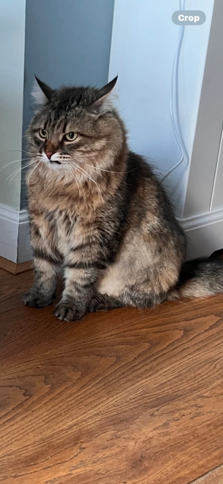 Cashmere - Francois Maelsonstraat, Amersfoort