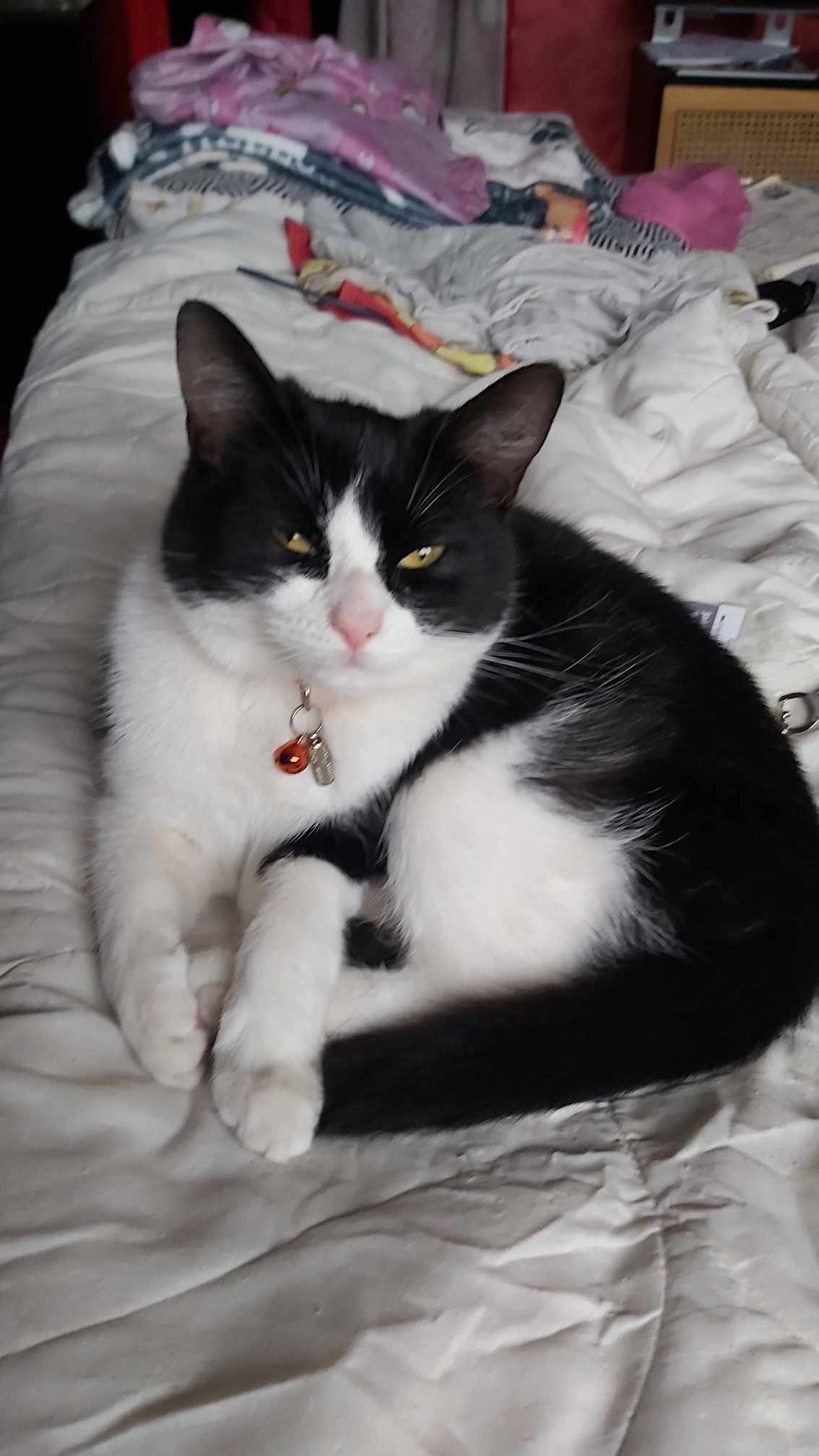 Onyx - Powells Crescent, Scunthorpe