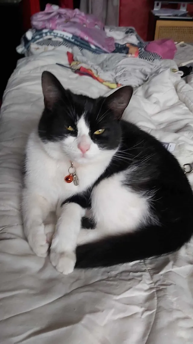 Onyx - Powells Crescent, Scunthorpe